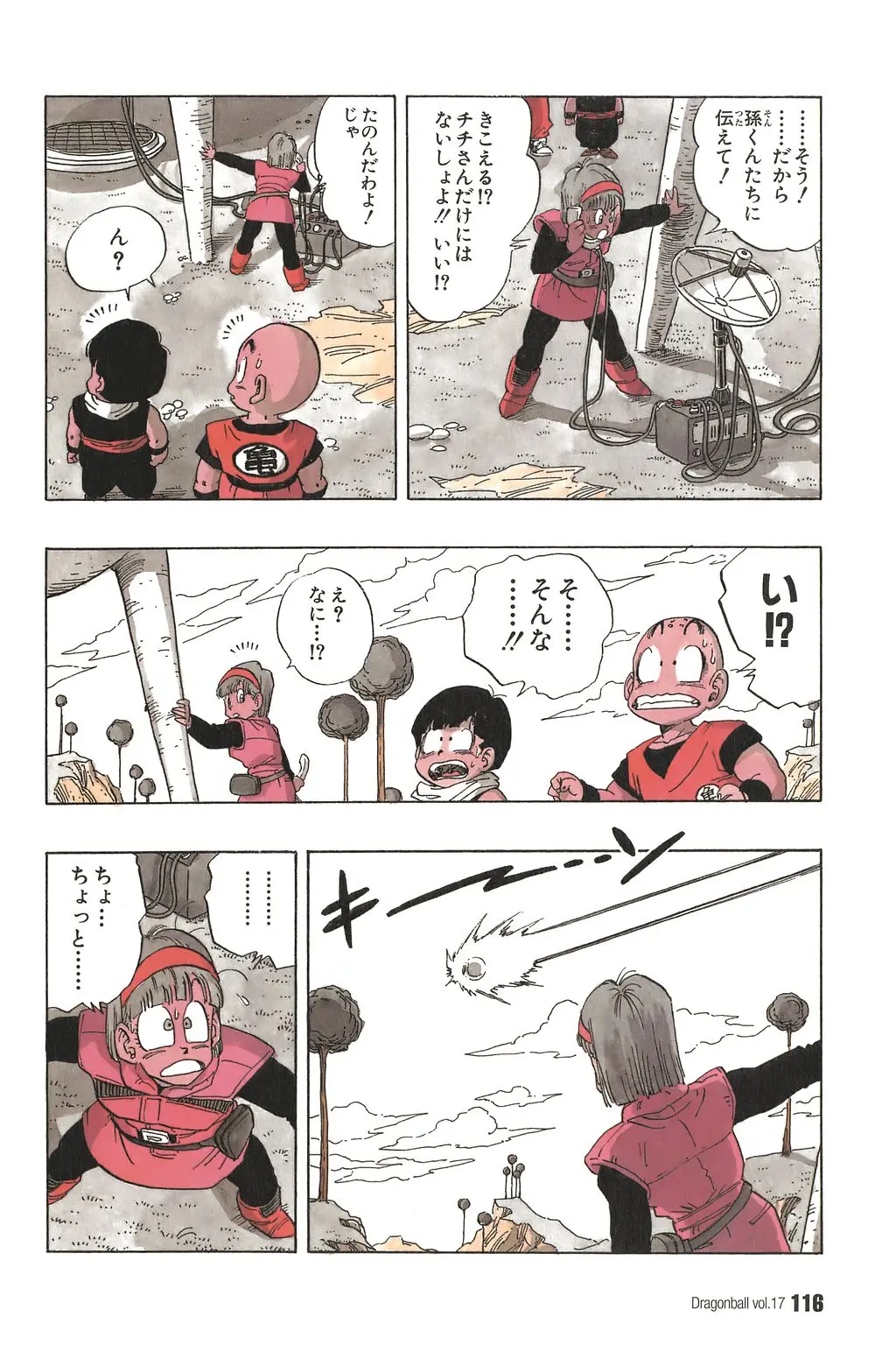 Chapitre 17 — Dragon Ball Kanzenban Vol. 17 — page 121