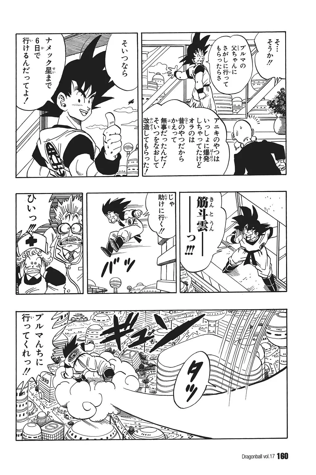 Chapitre 17 — Dragon Ball Kanzenban Vol. 17 — page 165