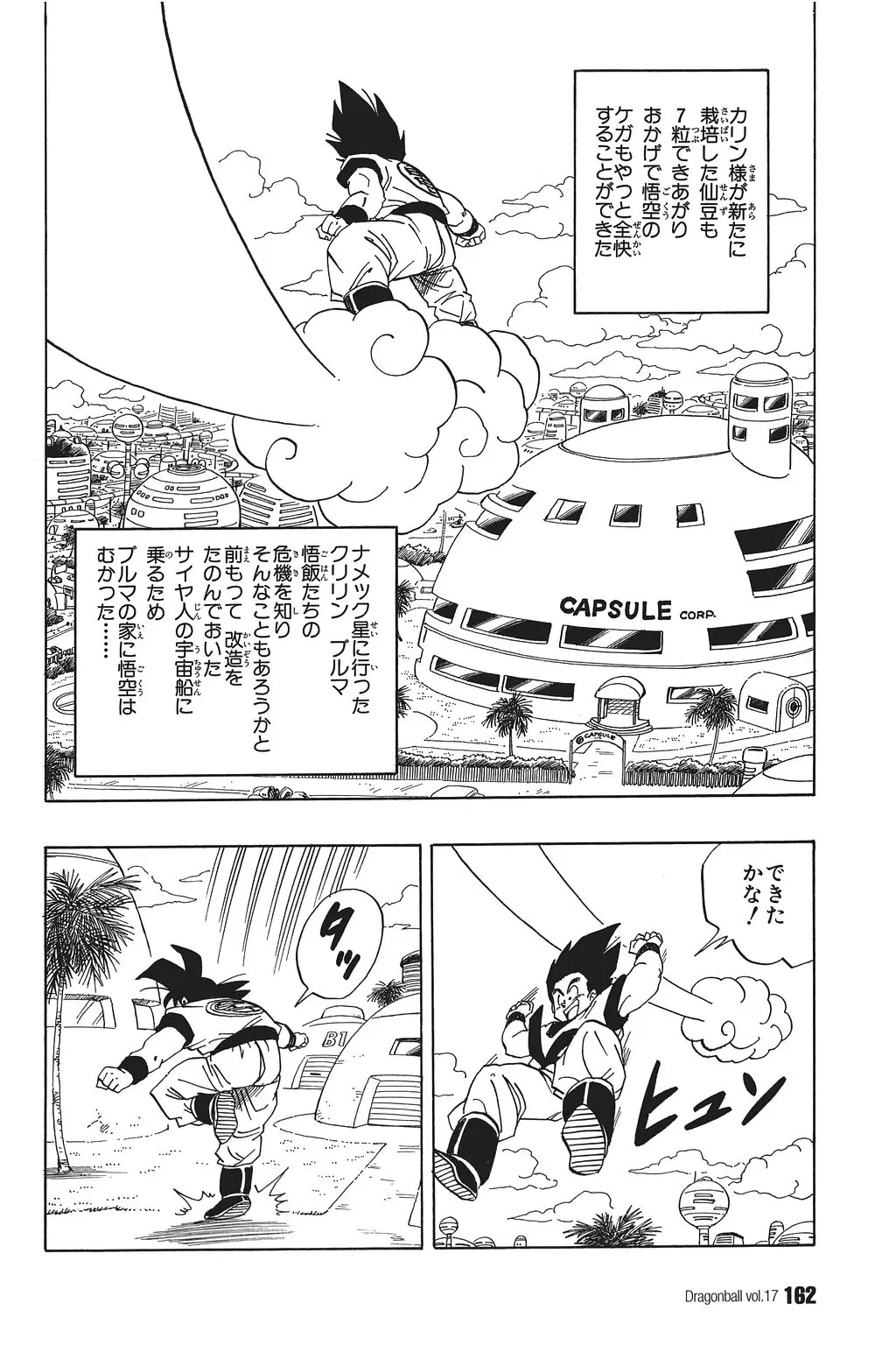 Chapitre 17 — Dragon Ball Kanzenban Vol. 17 — page 167