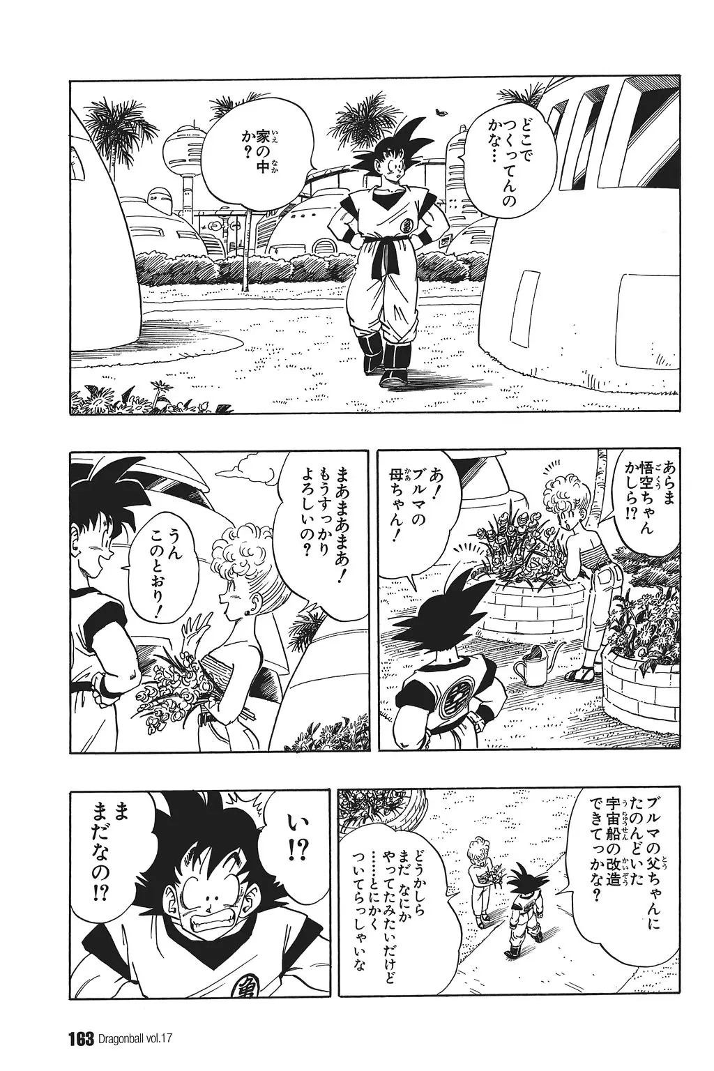 Chapitre 17 — Dragon Ball Kanzenban Vol. 17 — page 168