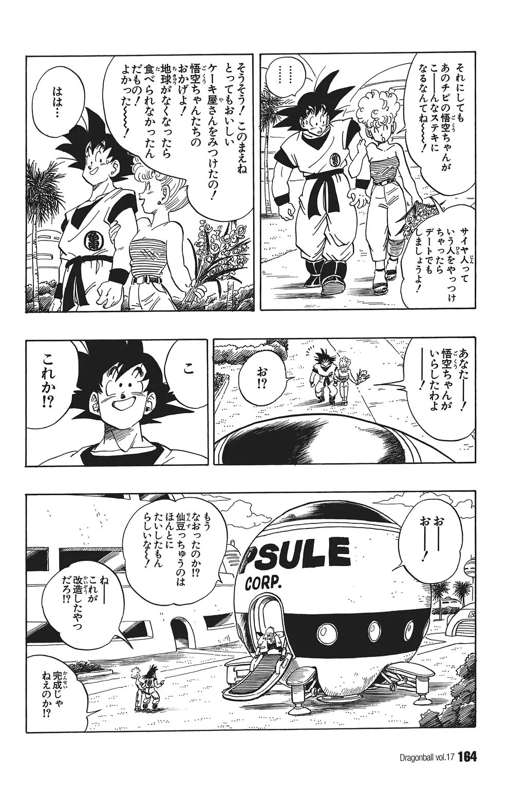 Chapitre 17 — Dragon Ball Kanzenban Vol. 17 — page 169