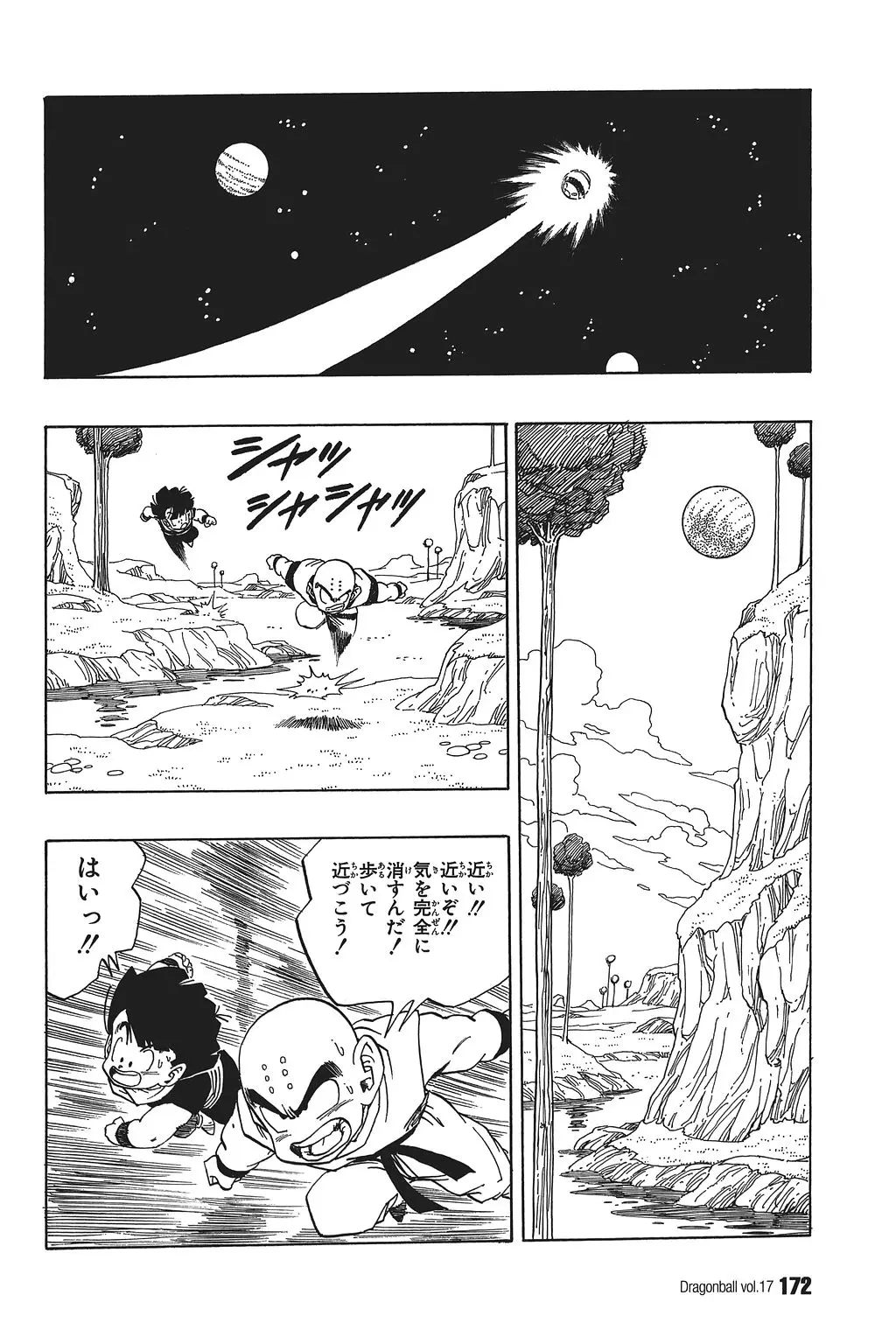 Chapitre 17 — Dragon Ball Kanzenban Vol. 17 — page 177