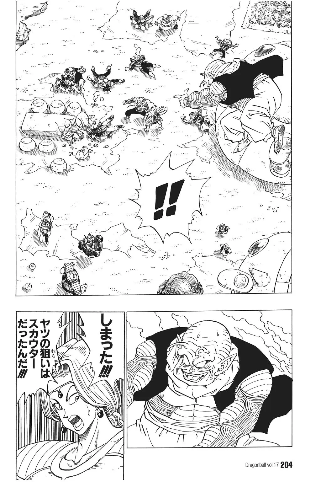 Chapitre 17 — Dragon Ball Kanzenban Vol. 17 — page 209