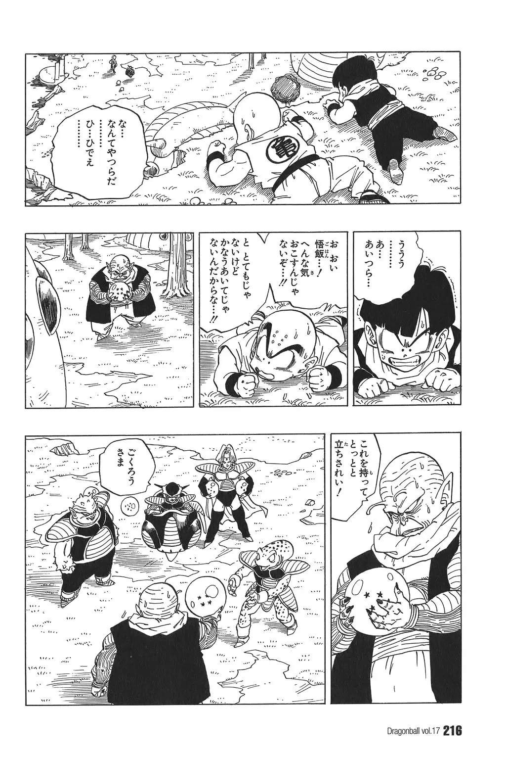 Chapitre 17 — Dragon Ball Kanzenban Vol. 17 — page 221