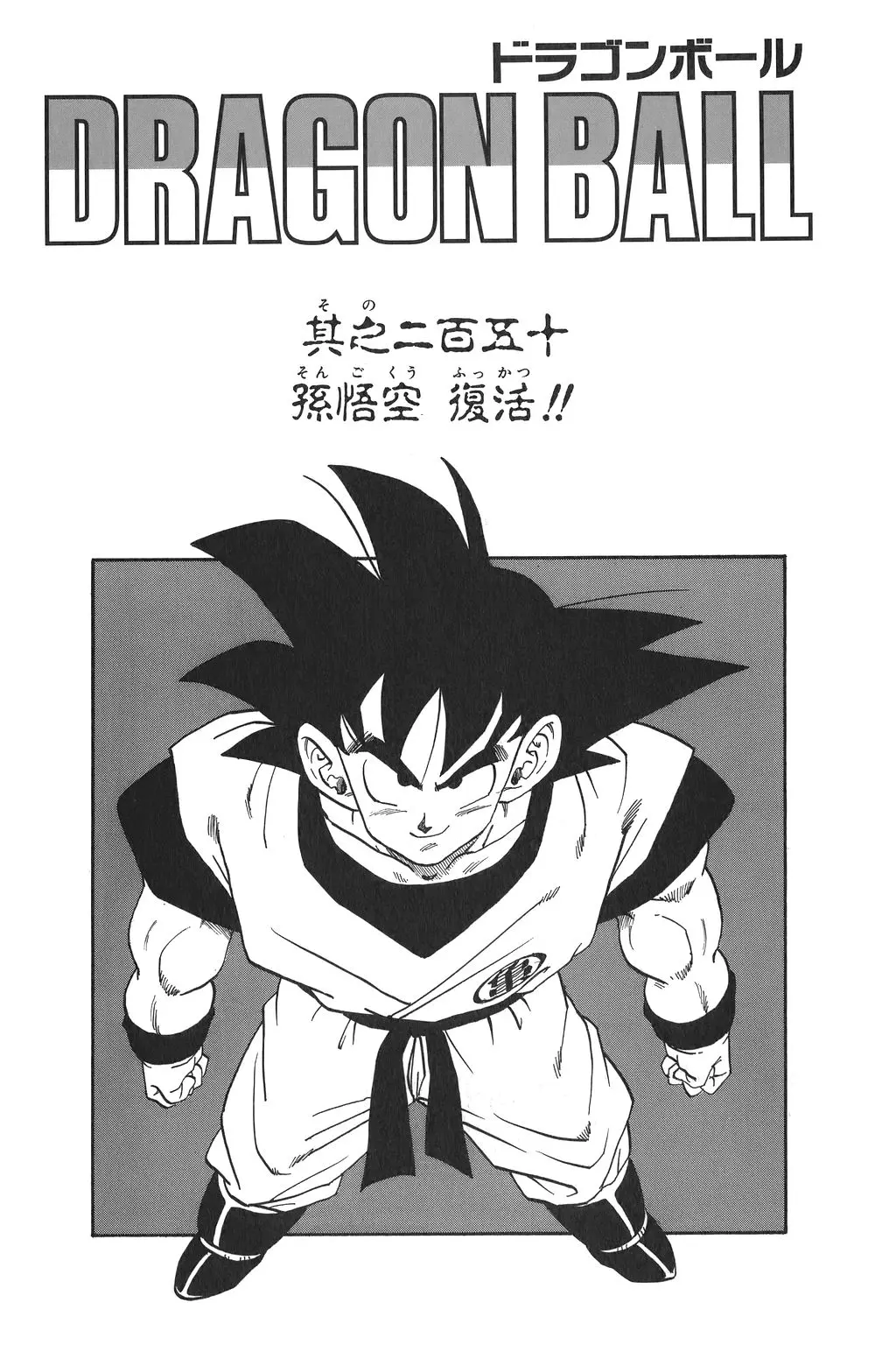 Chapitre 17 — Dragon Ball Kanzenban Vol. 17 — page 233