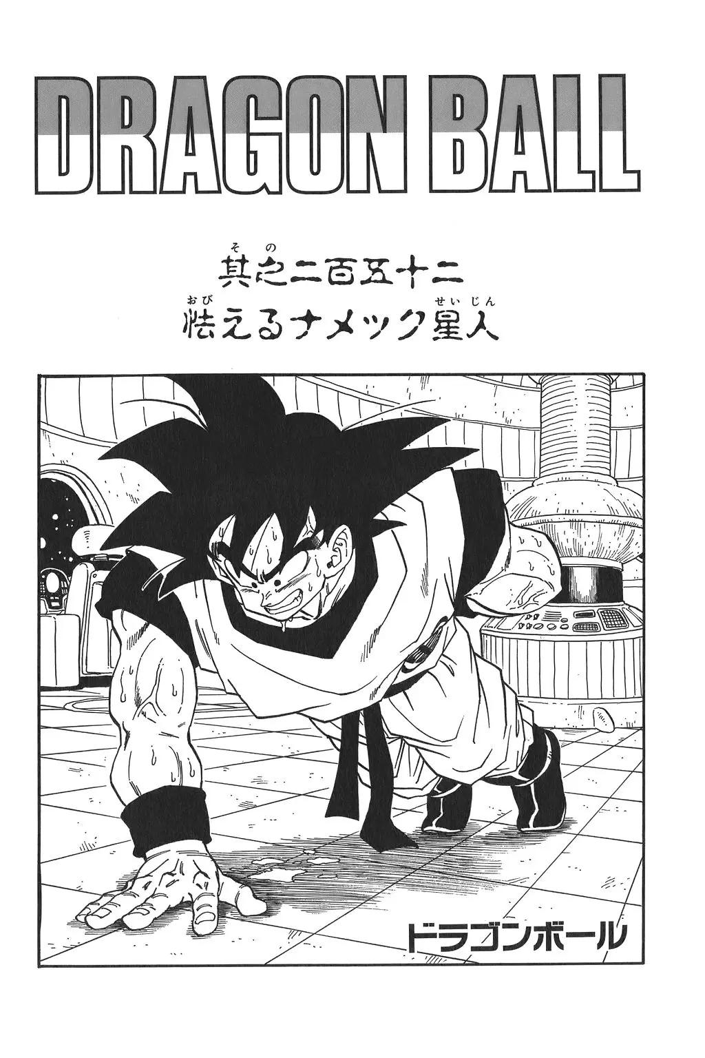 Chapitre 17 — Dragon Ball Kanzenban Vol. 17 — page 235