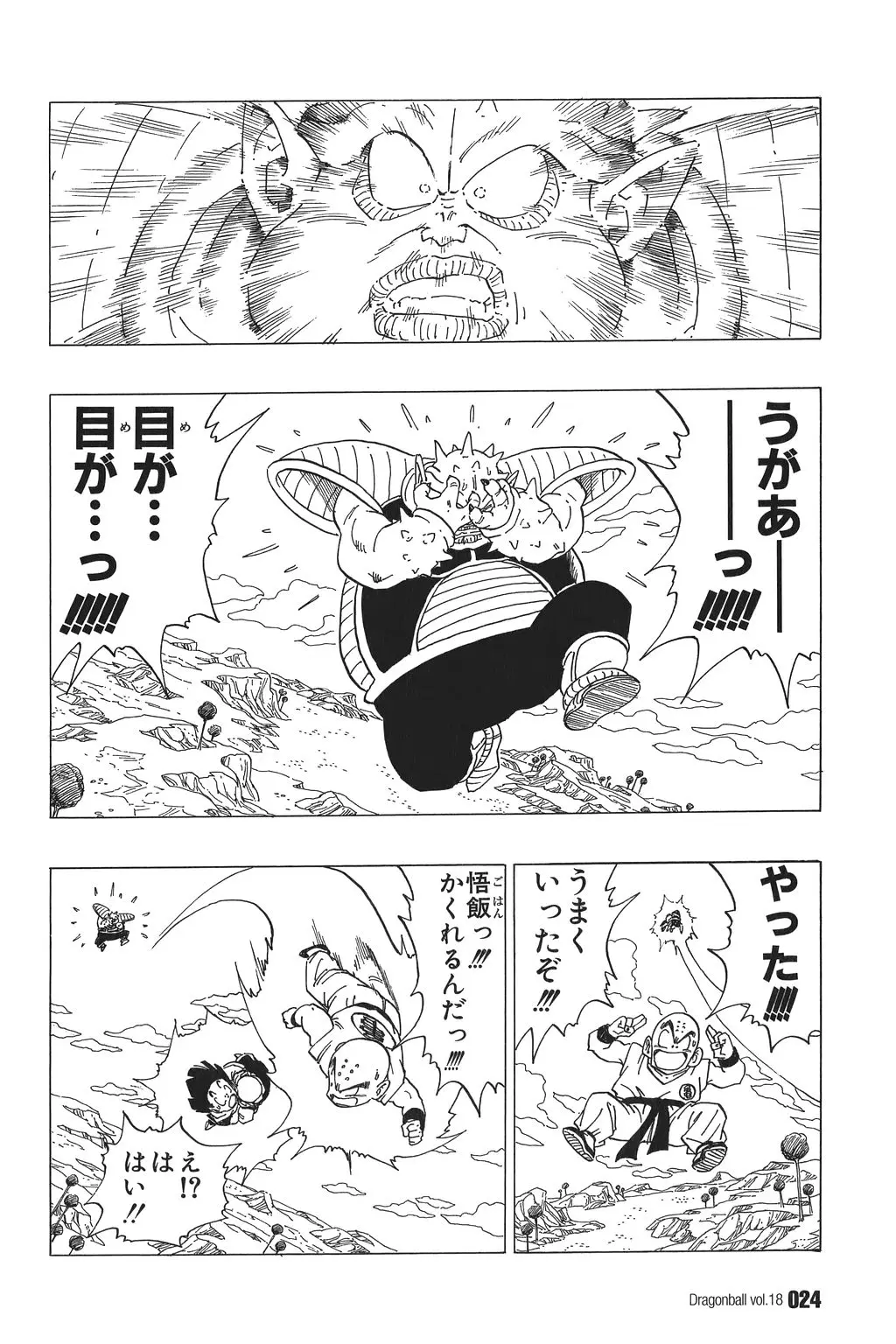 Chapitre 18 — Dragon Ball Kanzenban Vol. 18 — page 29