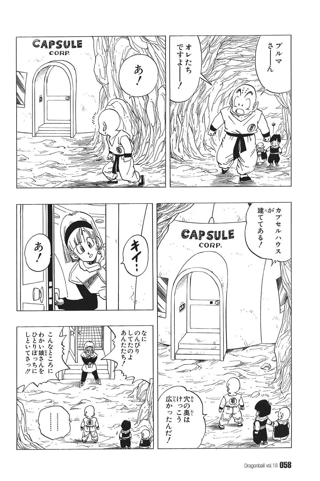 Chapitre 18 — Dragon Ball Kanzenban Vol. 18 — page 63