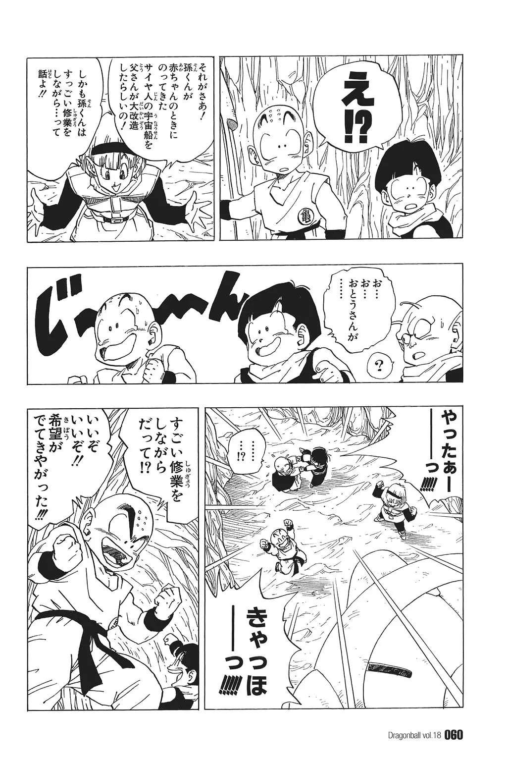 Chapitre 18 — Dragon Ball Kanzenban Vol. 18 — page 65
