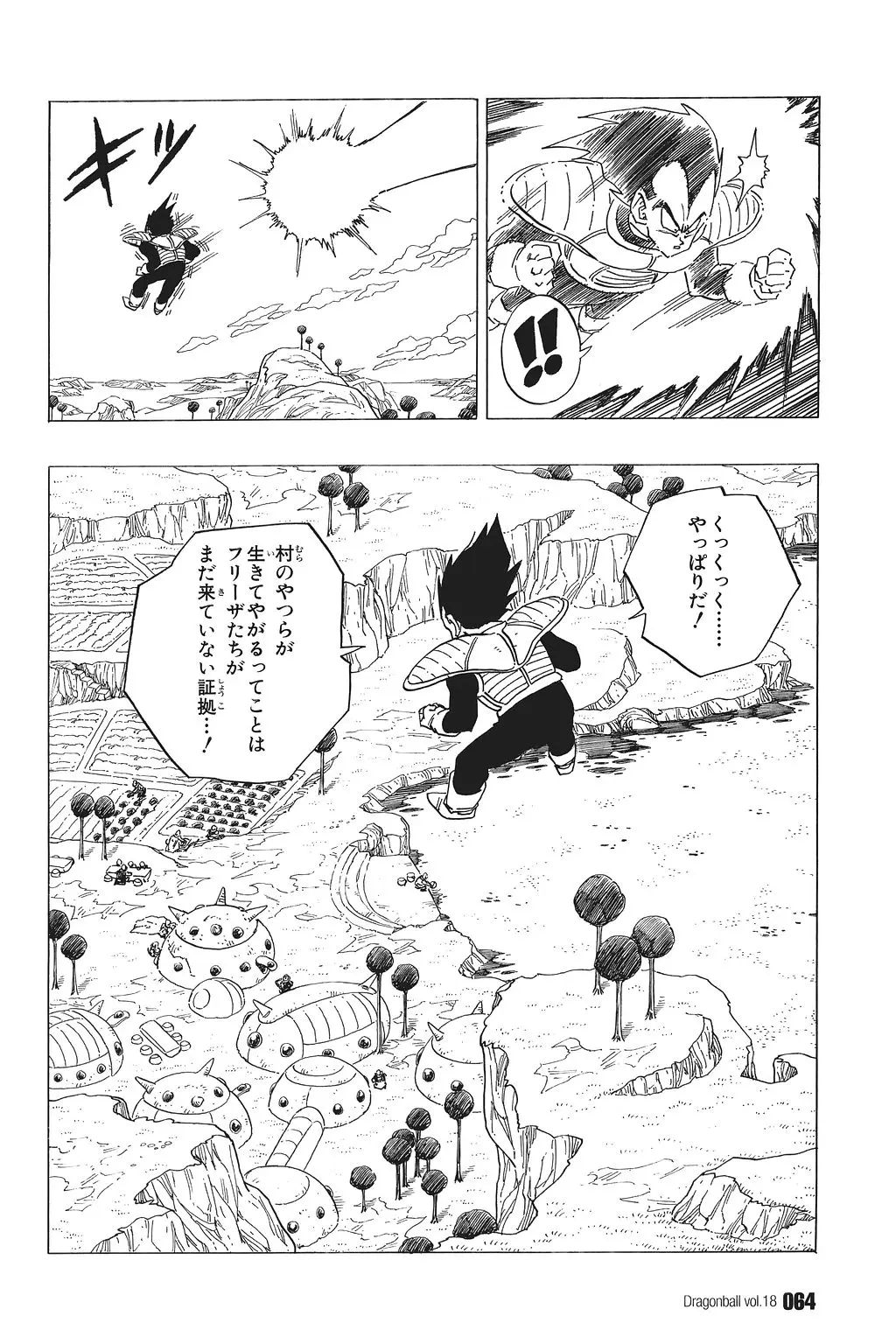 Chapitre 18 — Dragon Ball Kanzenban Vol. 18 — page 69