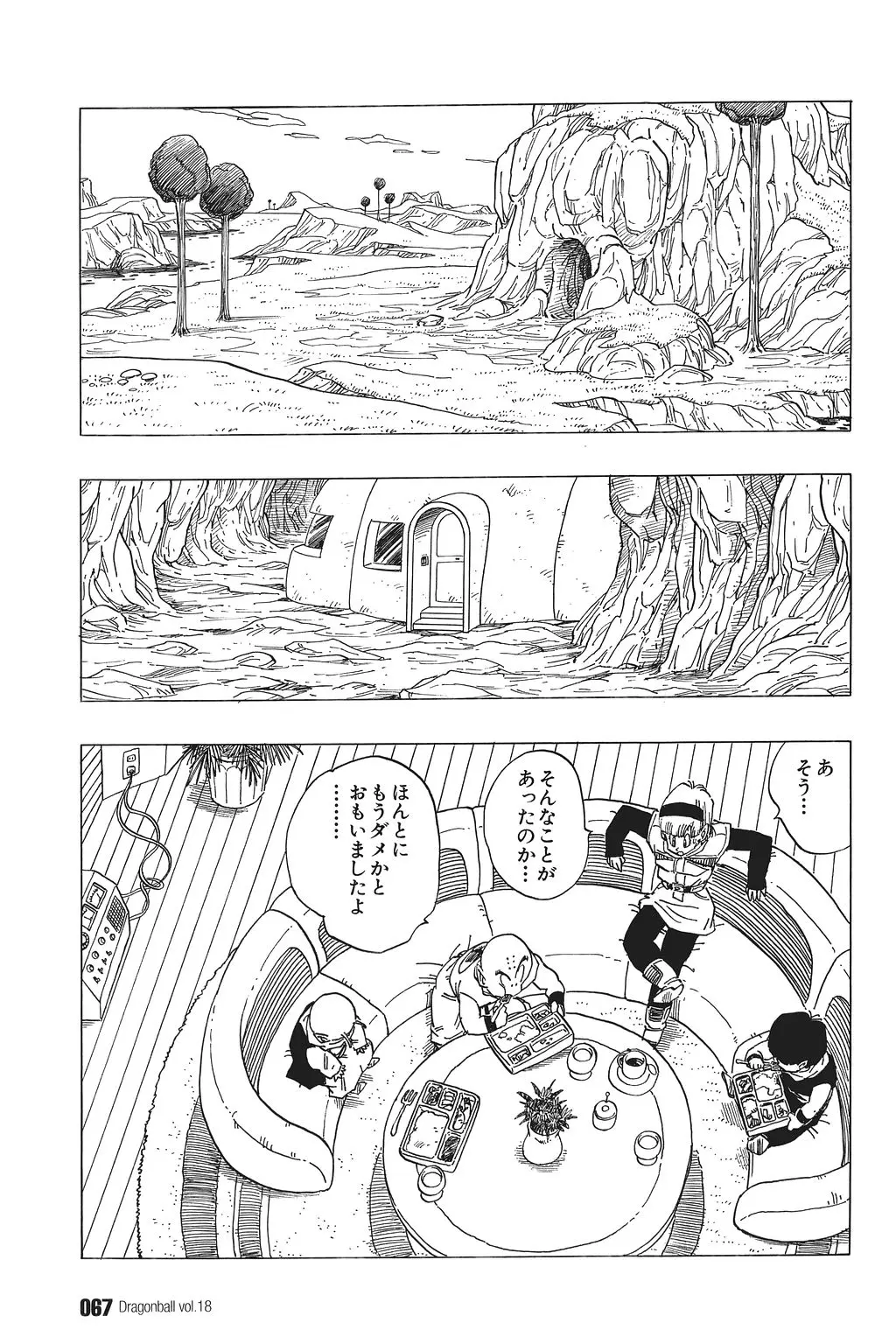 Chapitre 18 — Dragon Ball Kanzenban Vol. 18 — page 72