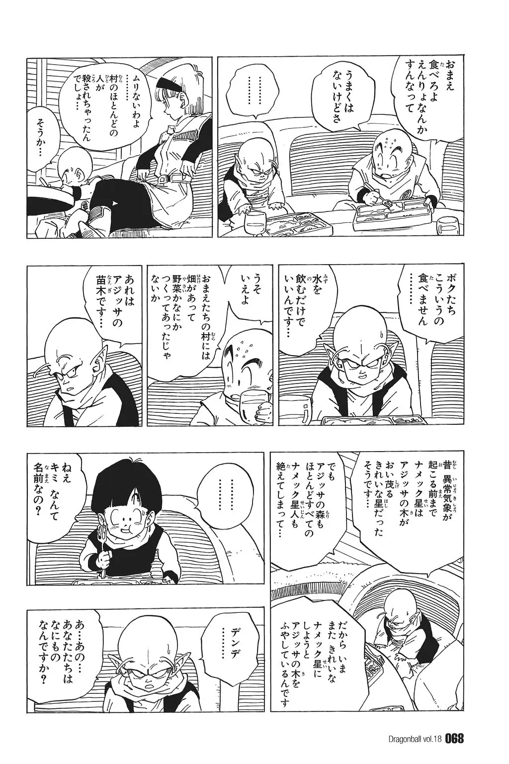 Chapitre 18 — Dragon Ball Kanzenban Vol. 18 — page 73