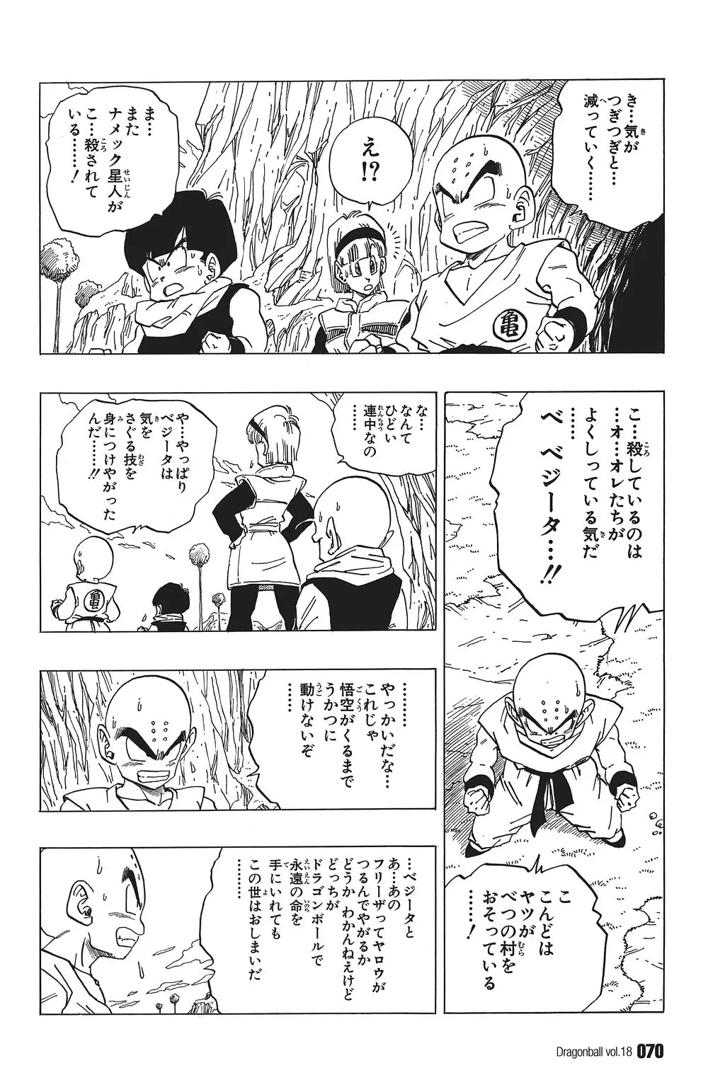 Chapitre 18 — Dragon Ball Kanzenban Vol. 18 — page 75