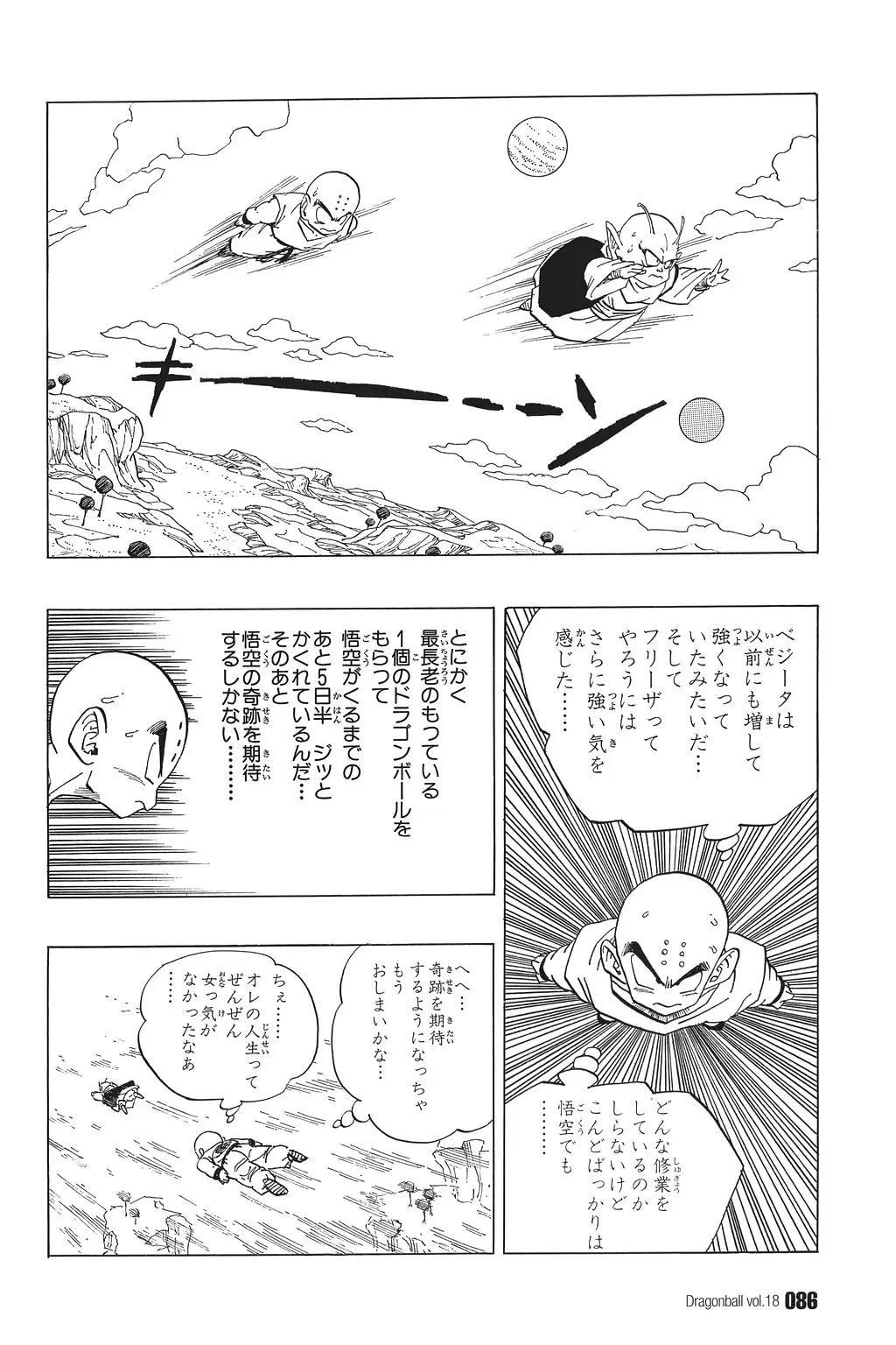 Chapitre 18 — Dragon Ball Kanzenban Vol. 18 — page 91