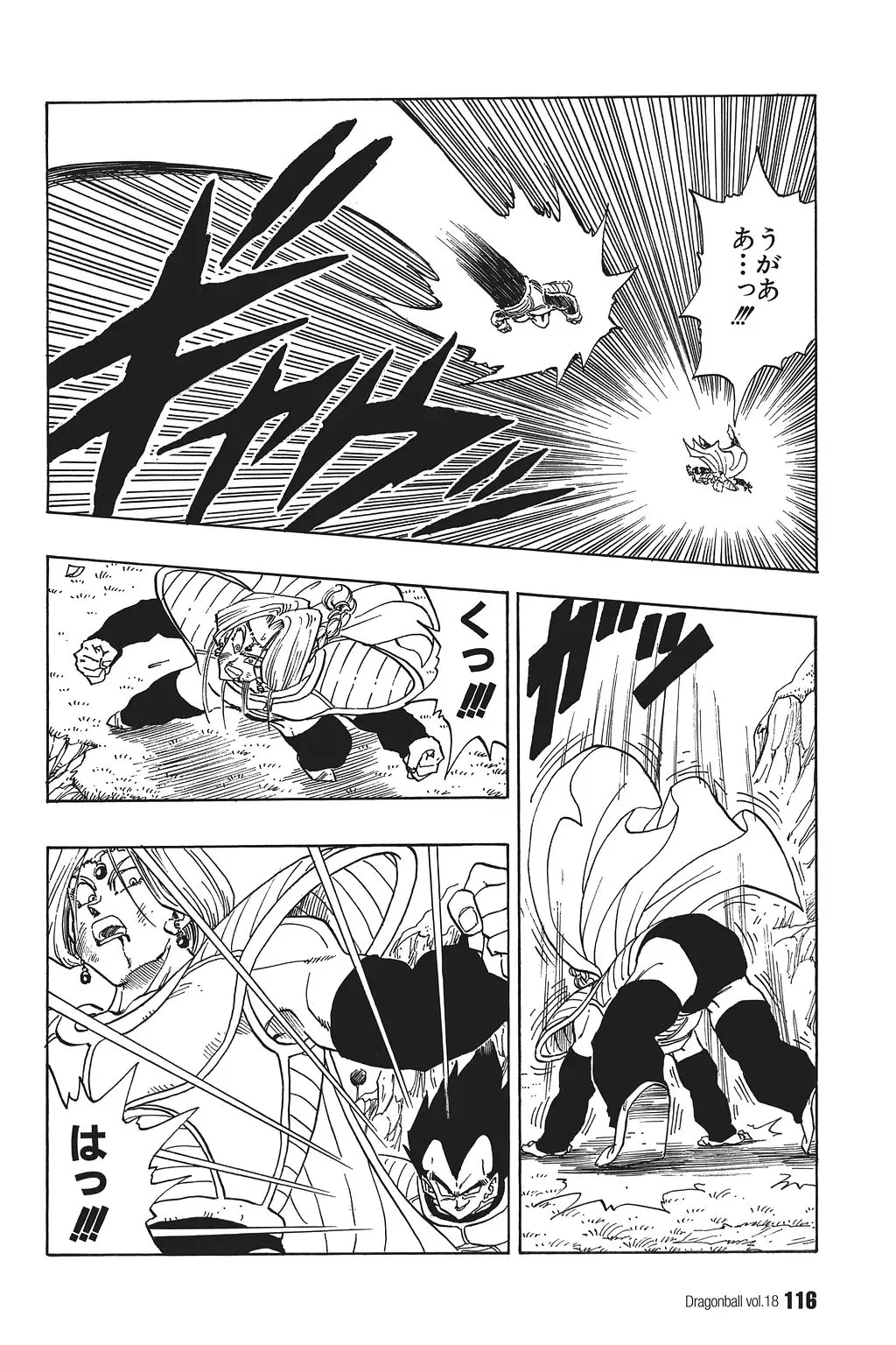 Chapitre 18 — Dragon Ball Kanzenban Vol. 18 — page 121