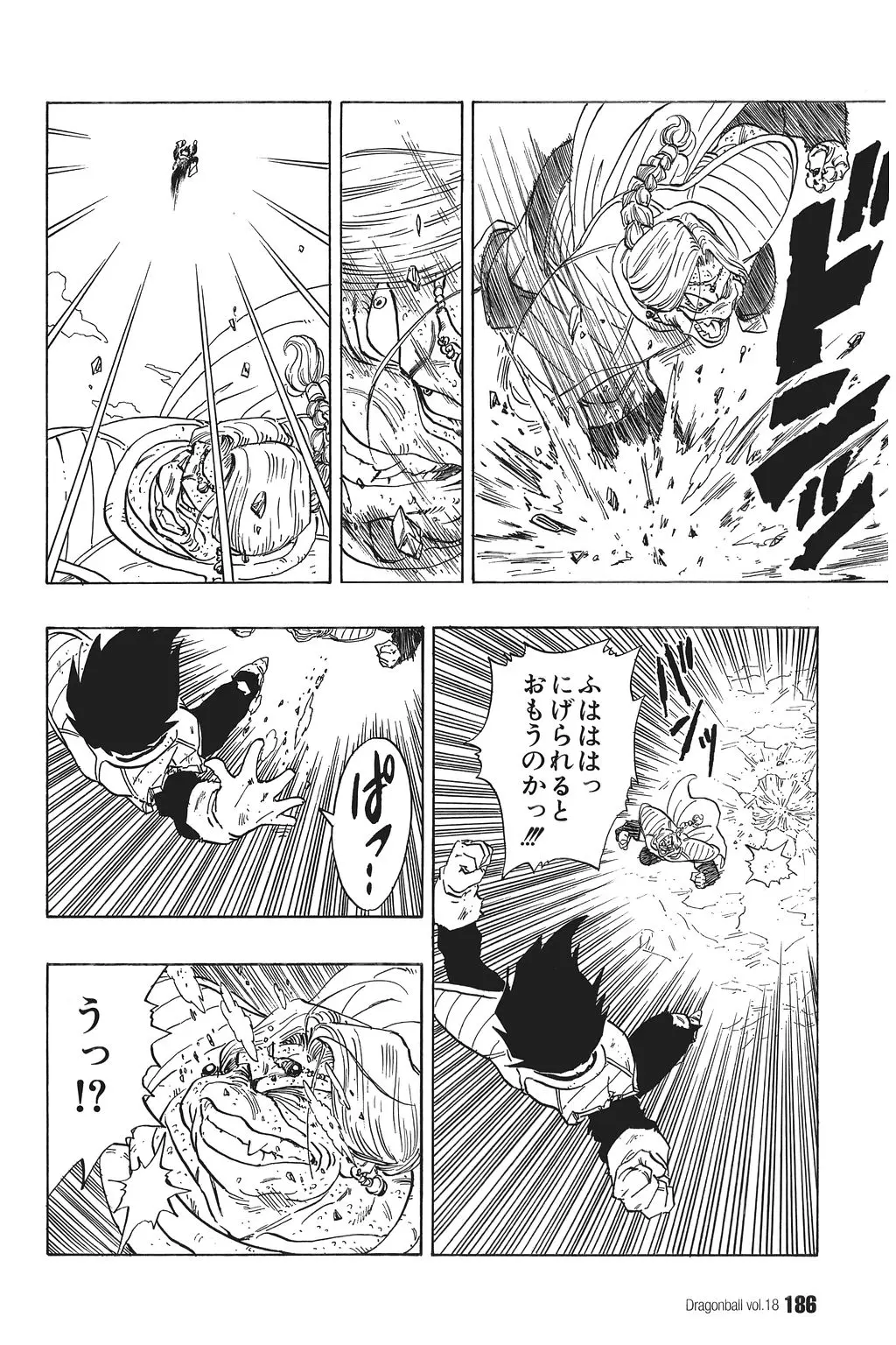 Chapitre 18 — Dragon Ball Kanzenban Vol. 18 — page 191
