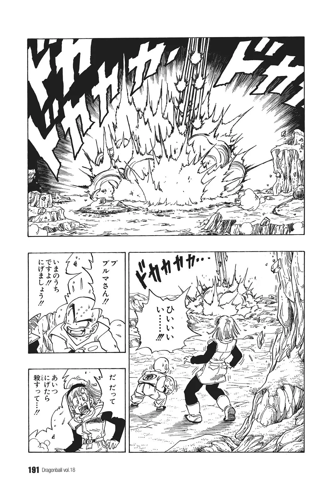 Chapitre 18 — Dragon Ball Kanzenban Vol. 18 — page 196