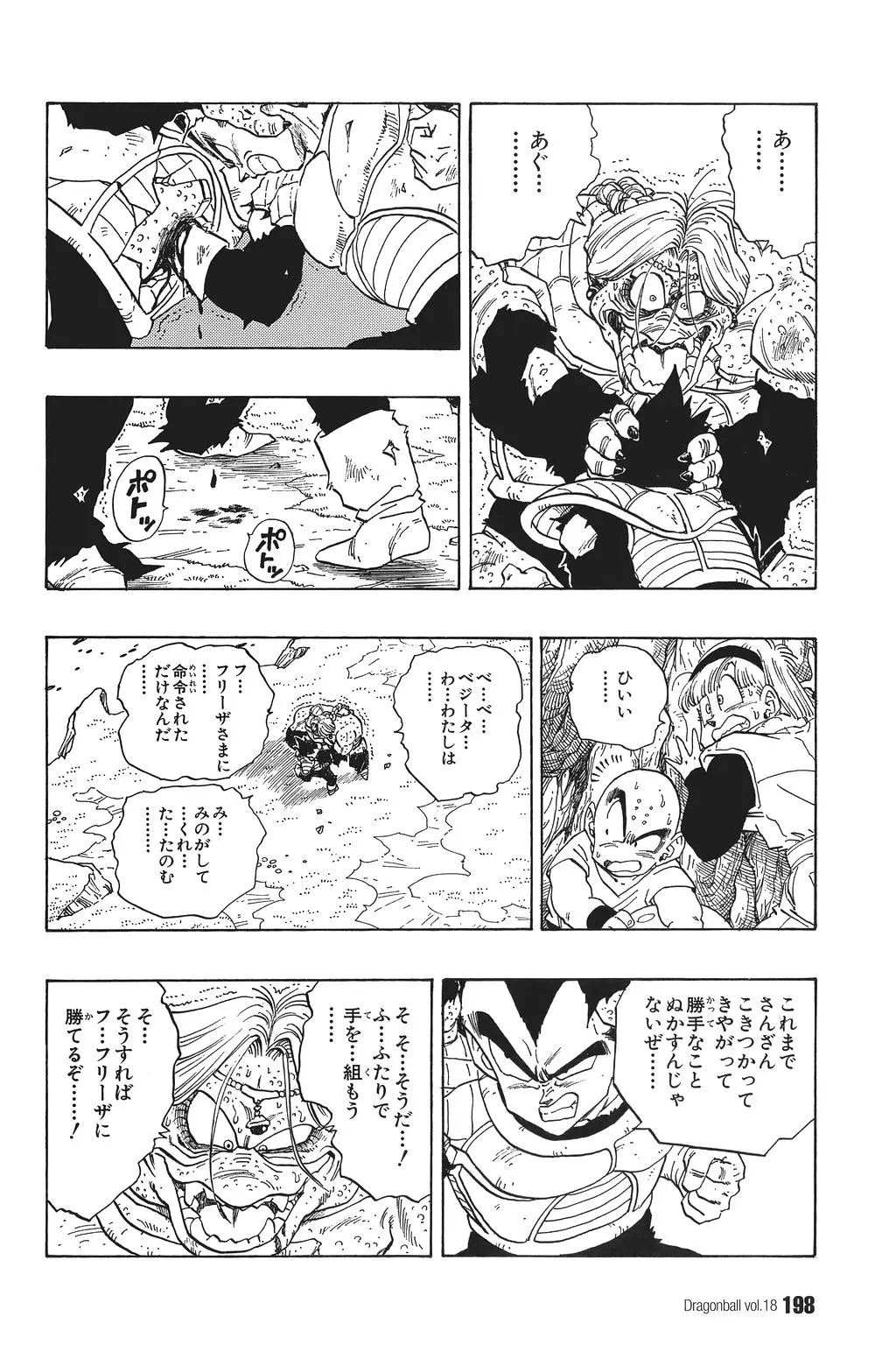 Chapitre 18 — Dragon Ball Kanzenban Vol. 18 — page 203
