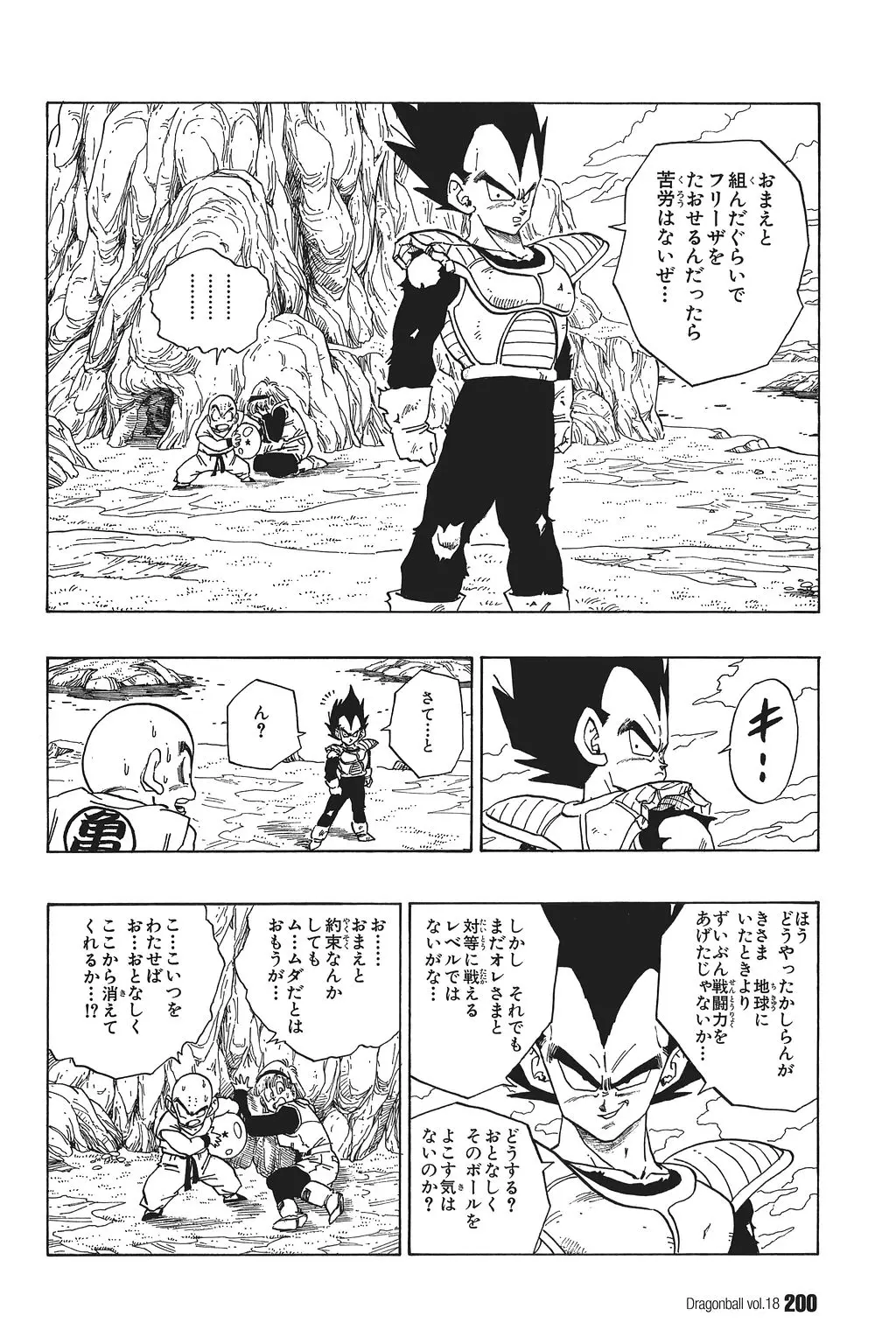 Chapitre 18 — Dragon Ball Kanzenban Vol. 18 — page 205