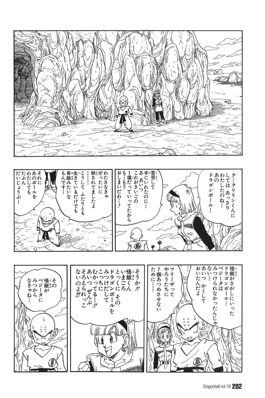 Chapitre 18 — Dragon Ball Kanzenban Vol. 18 — page 207
