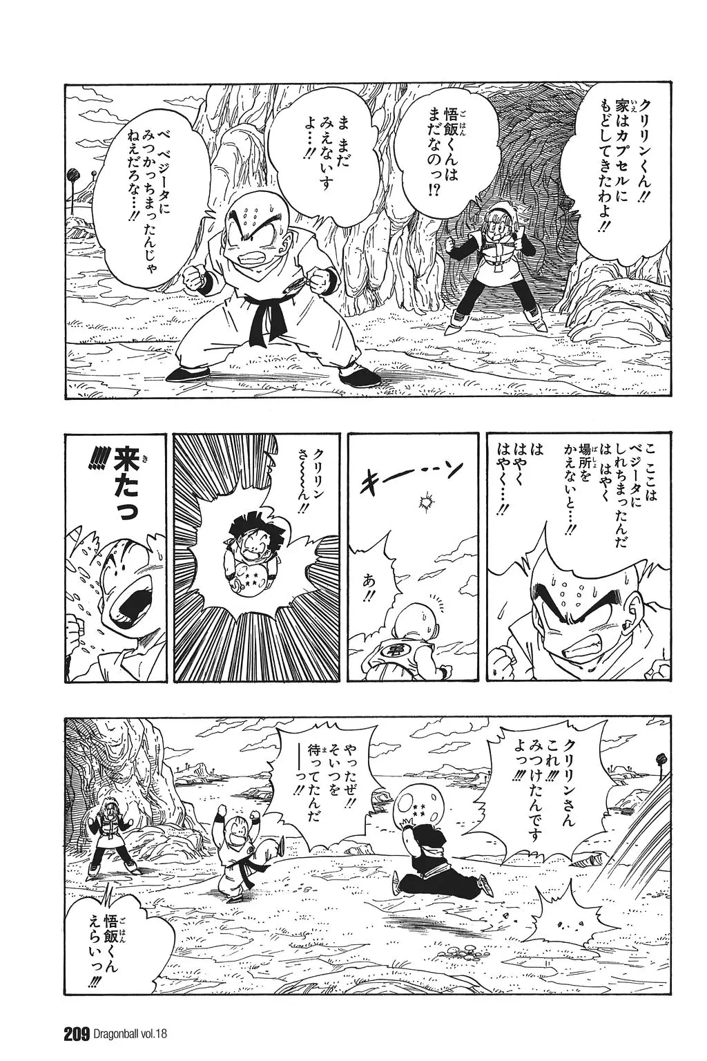 Chapitre 18 — Dragon Ball Kanzenban Vol. 18 — page 214