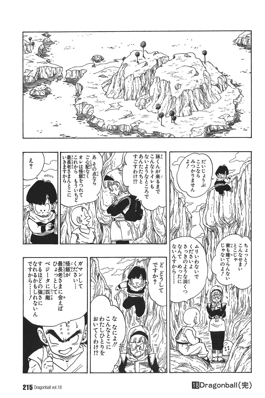 Chapitre 18 — Dragon Ball Kanzenban Vol. 18 — page 220