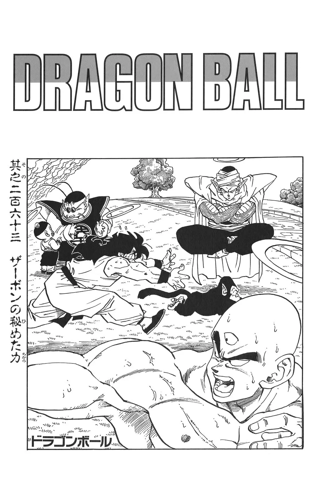 Chapitre 18 — Dragon Ball Kanzenban Vol. 18 — page 230