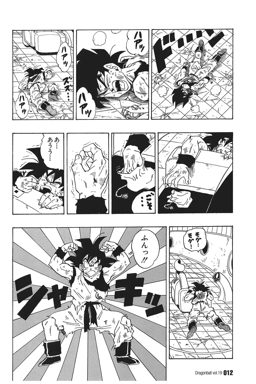Chapitre 19 — Dragon Ball Kanzenban Vol. 19 — page 17