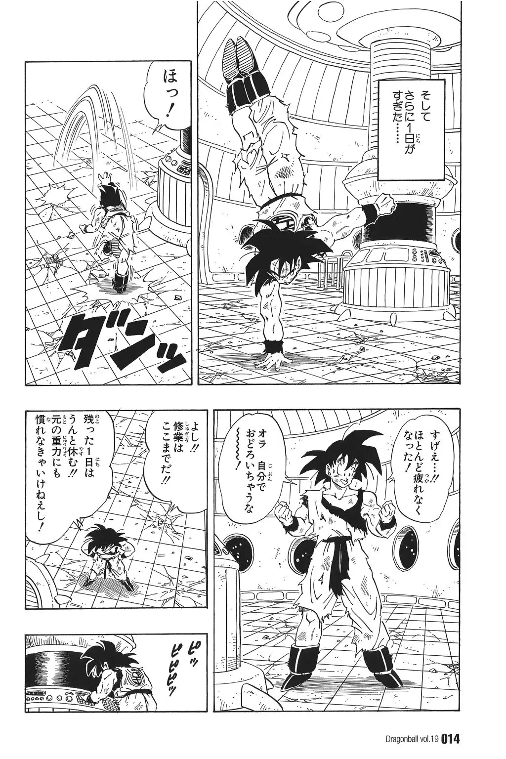 Chapitre 19 — Dragon Ball Kanzenban Vol. 19 — page 19