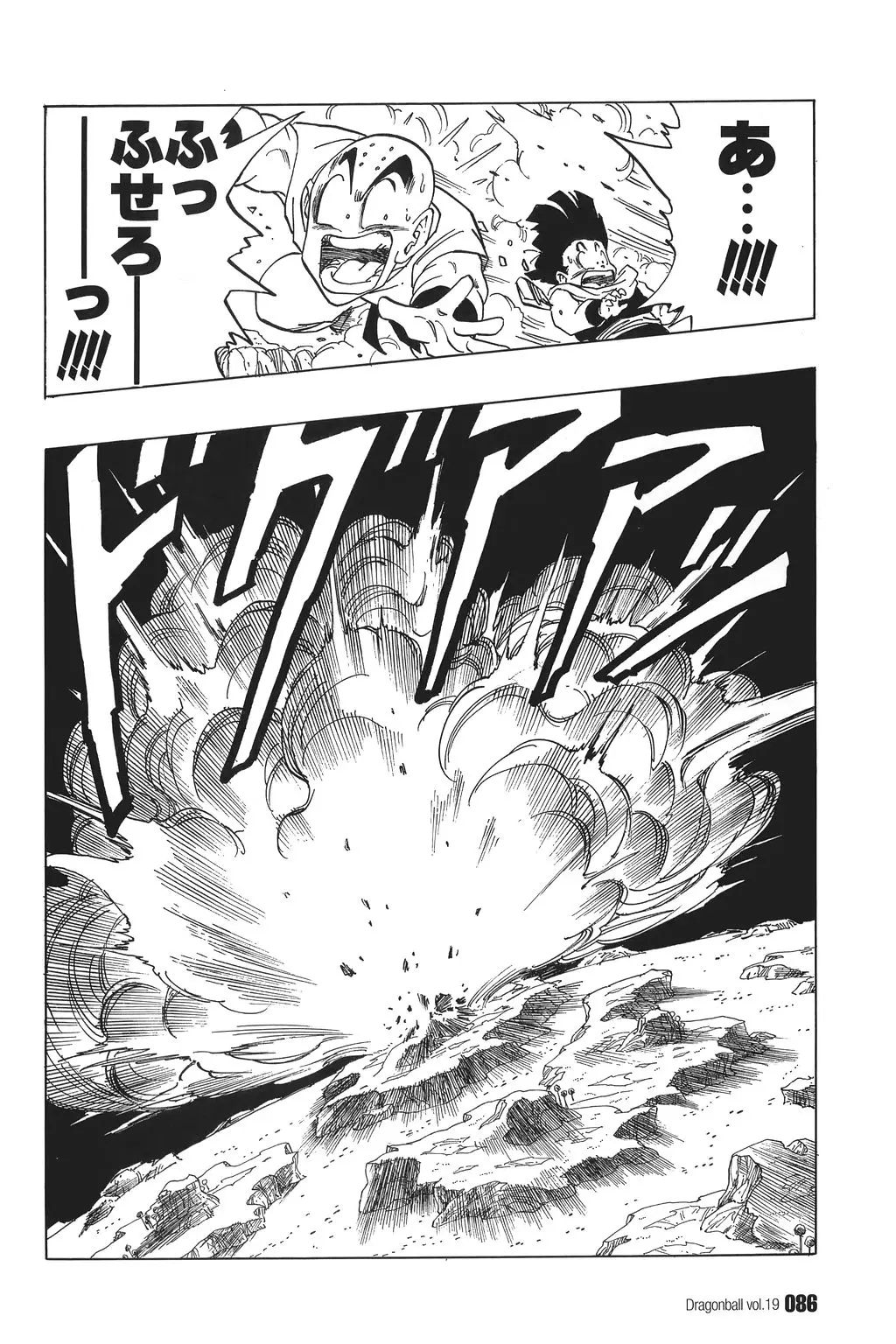 Chapitre 19 — Dragon Ball Kanzenban Vol. 19 — page 91