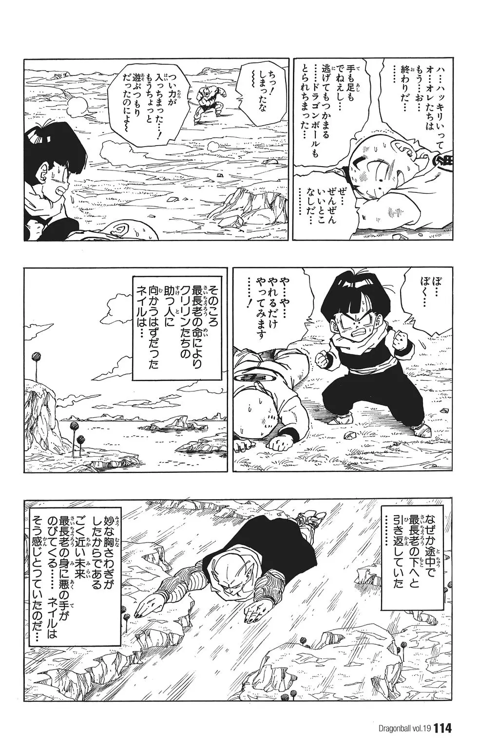 Chapitre 19 — Dragon Ball Kanzenban Vol. 19 — page 119