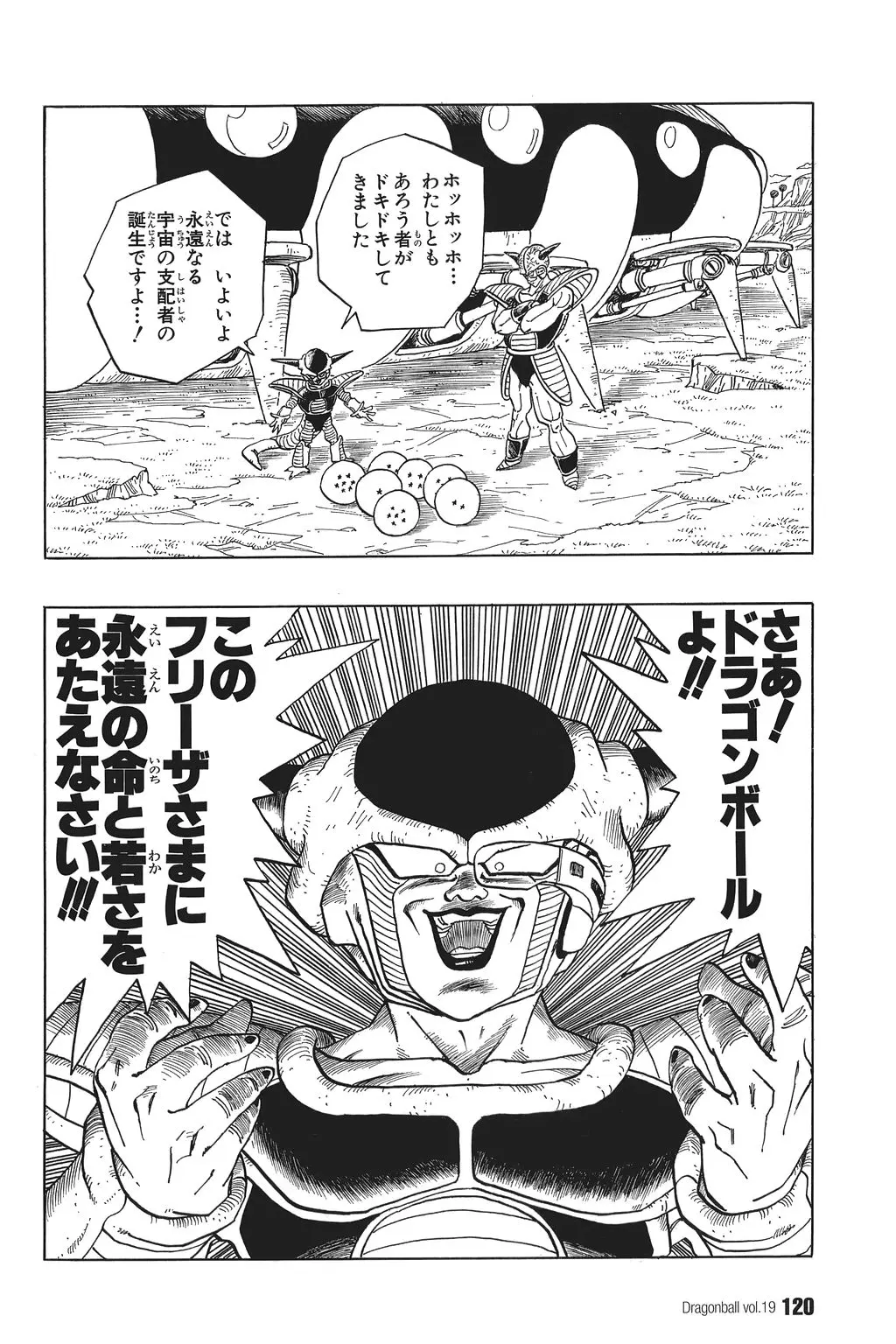Chapitre 19 — Dragon Ball Kanzenban Vol. 19 — page 125