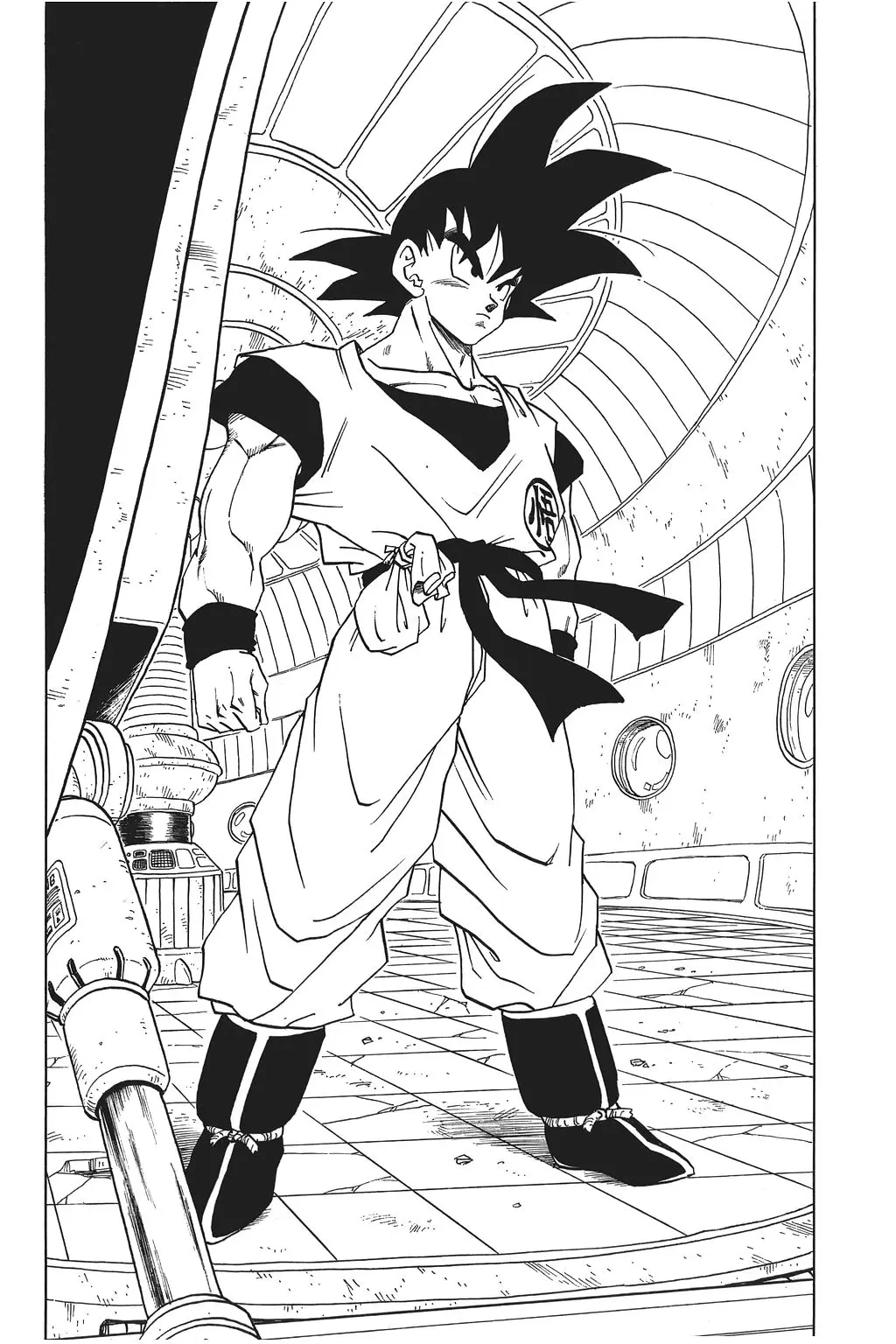 Chapitre 19 — Dragon Ball Kanzenban Vol. 19 — page 141