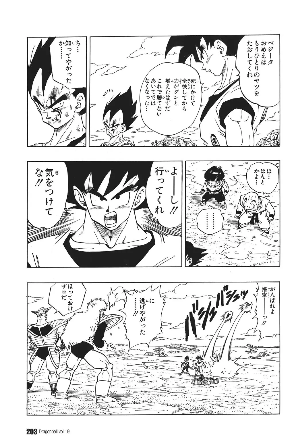 Chapitre 19 — Dragon Ball Kanzenban Vol. 19 — page 208