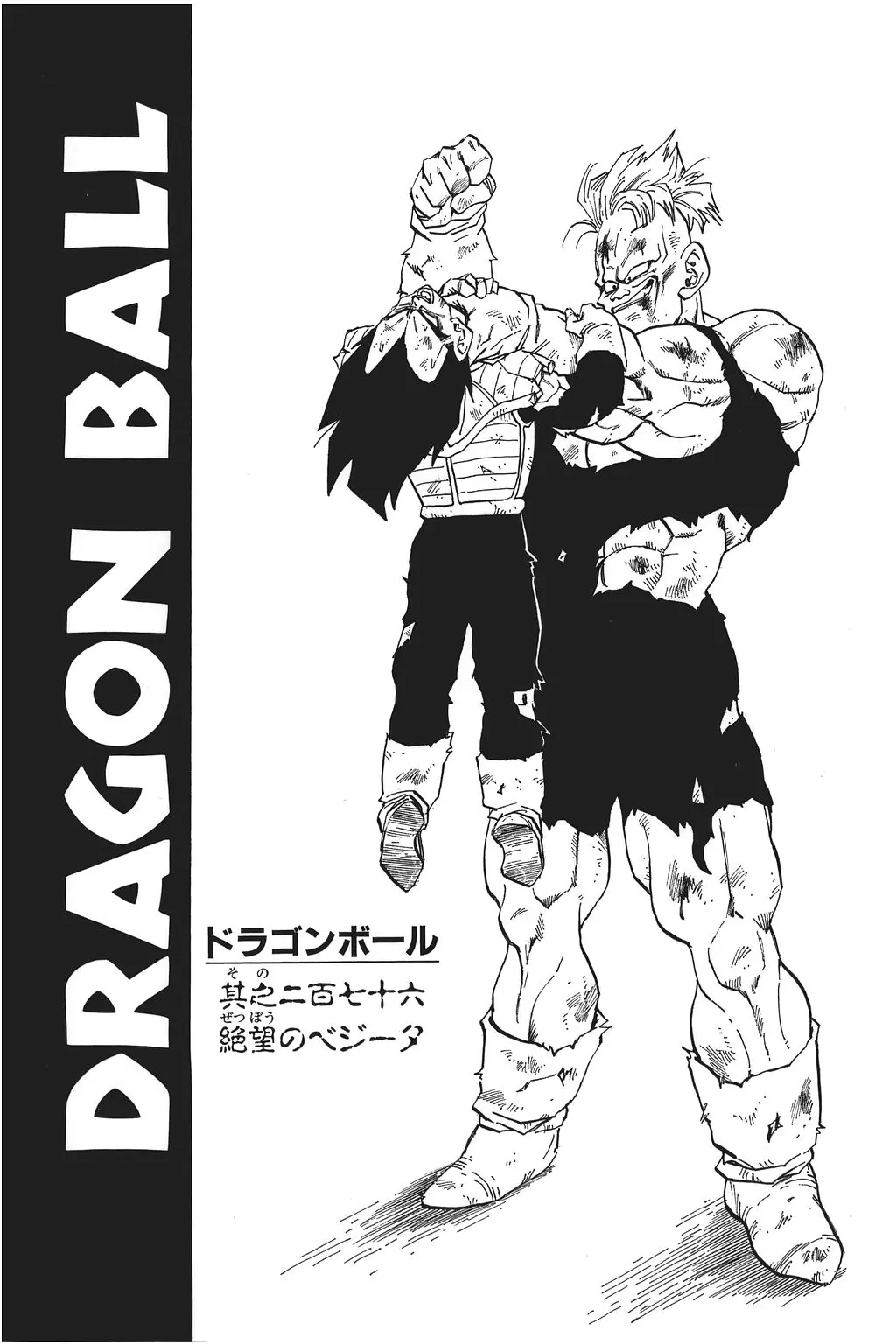 Chapitre 19 — Dragon Ball Kanzenban Vol. 19 — page 231