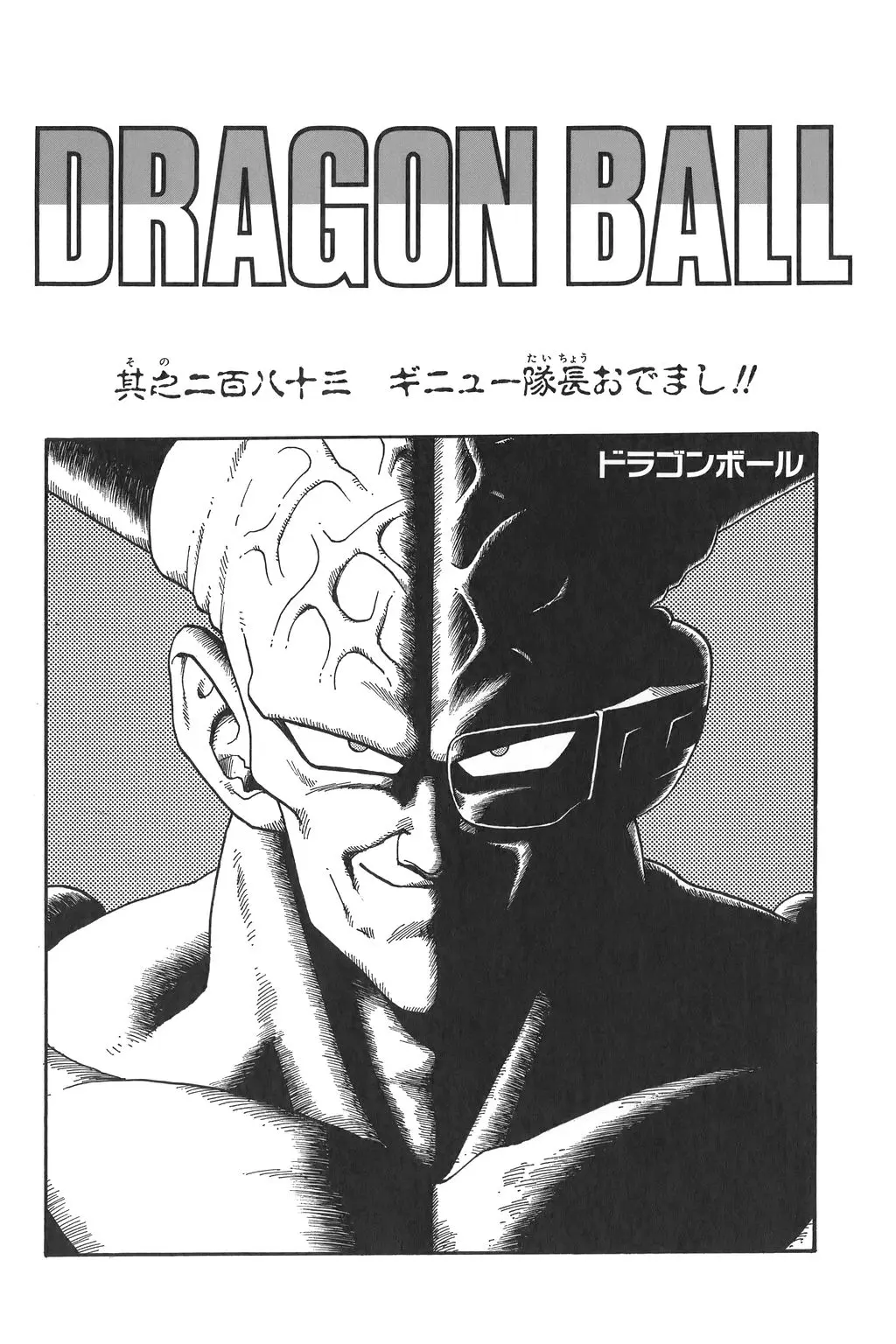 Chapitre 19 — Dragon Ball Kanzenban Vol. 19 — page 237