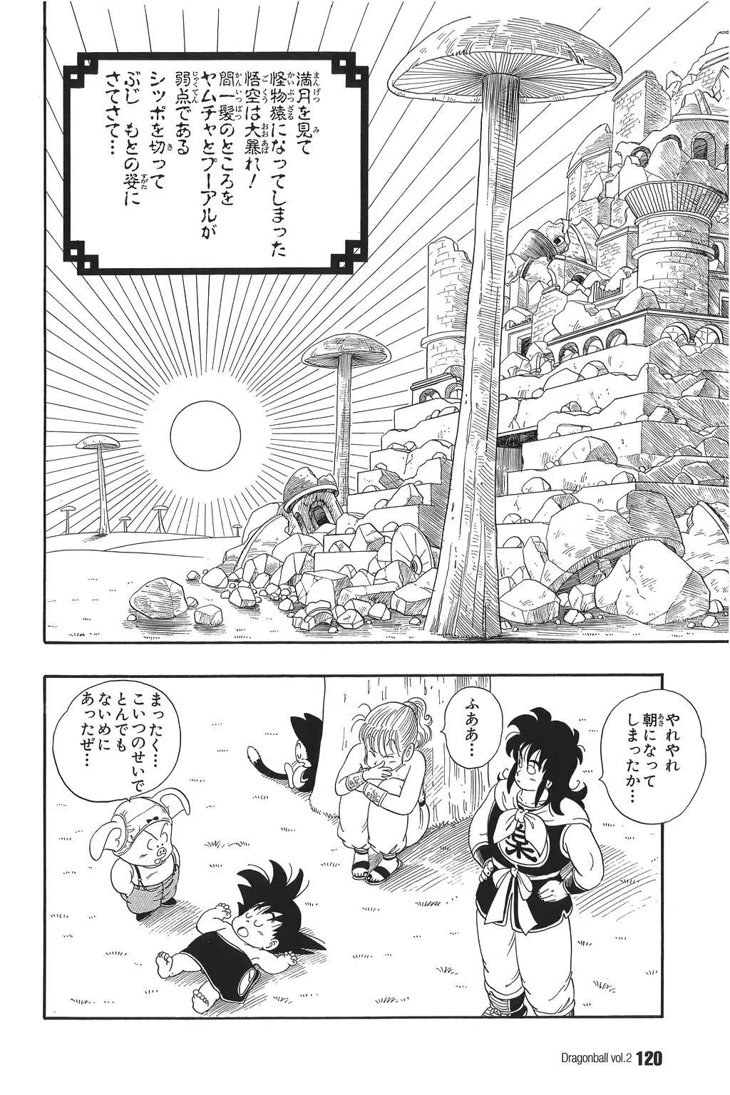 Chapitre 2 — Dragon Ball Kanzenban Vol. 2 — page 124