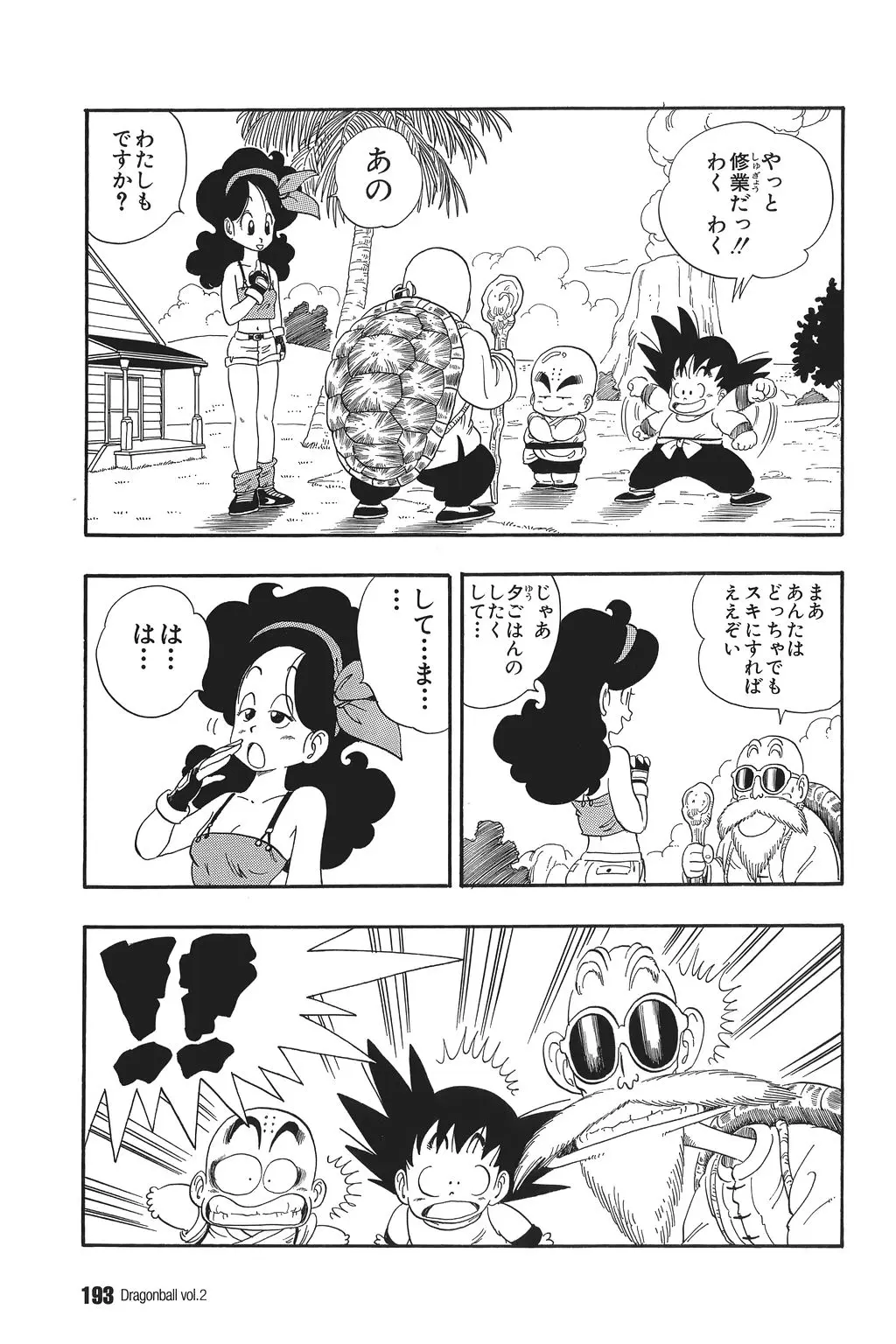 Chapitre 2 — Dragon Ball Kanzenban Vol. 2 — page 197