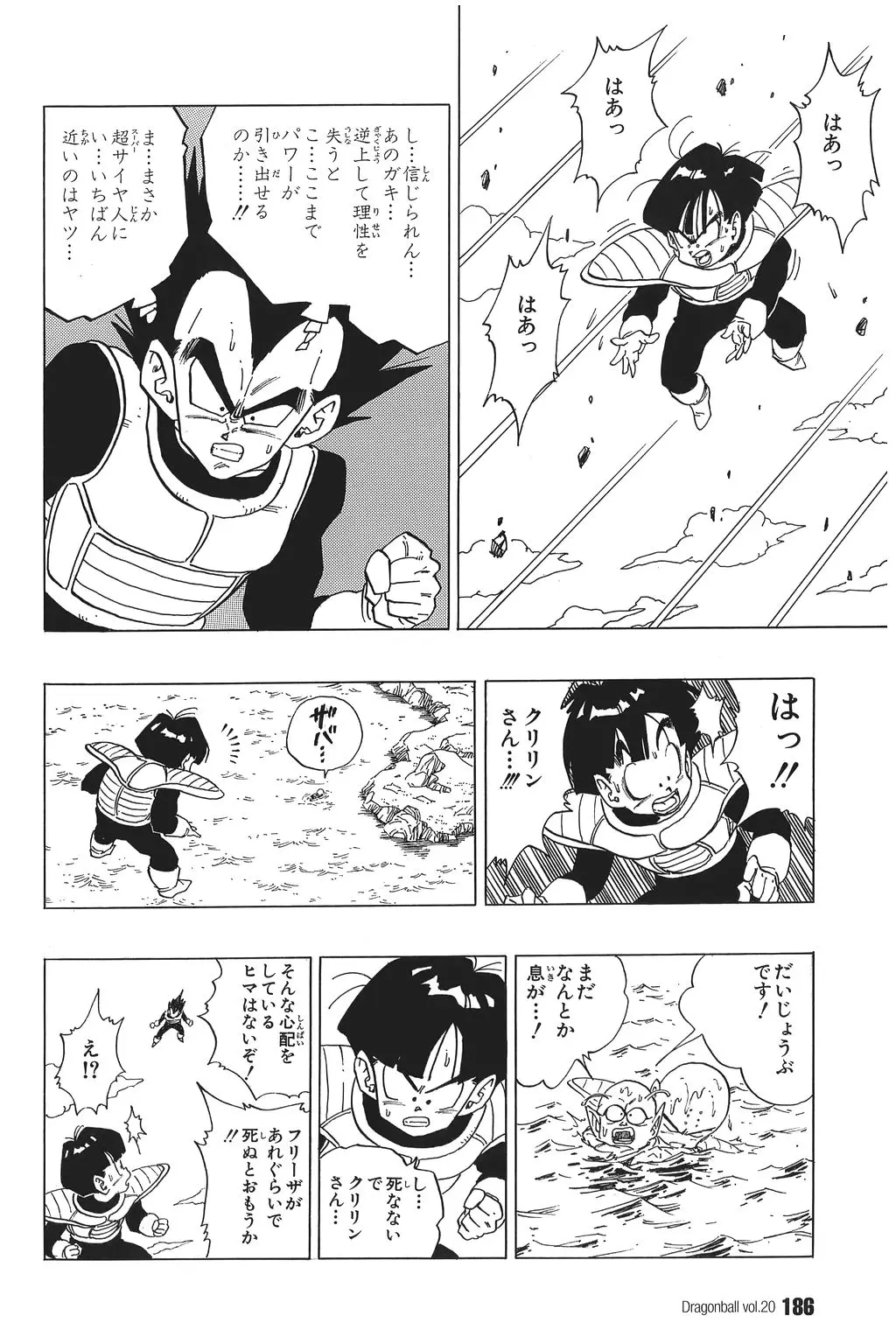 Chapitre 20 — Dragon Ball Kanzenban Vol. 20 — page 191