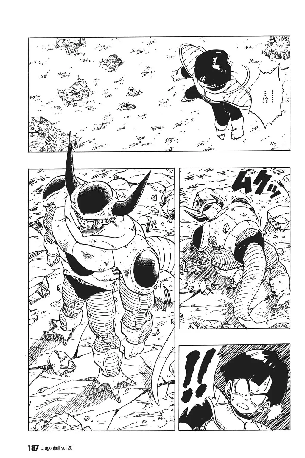 Chapitre 20 — Dragon Ball Kanzenban Vol. 20 — page 192