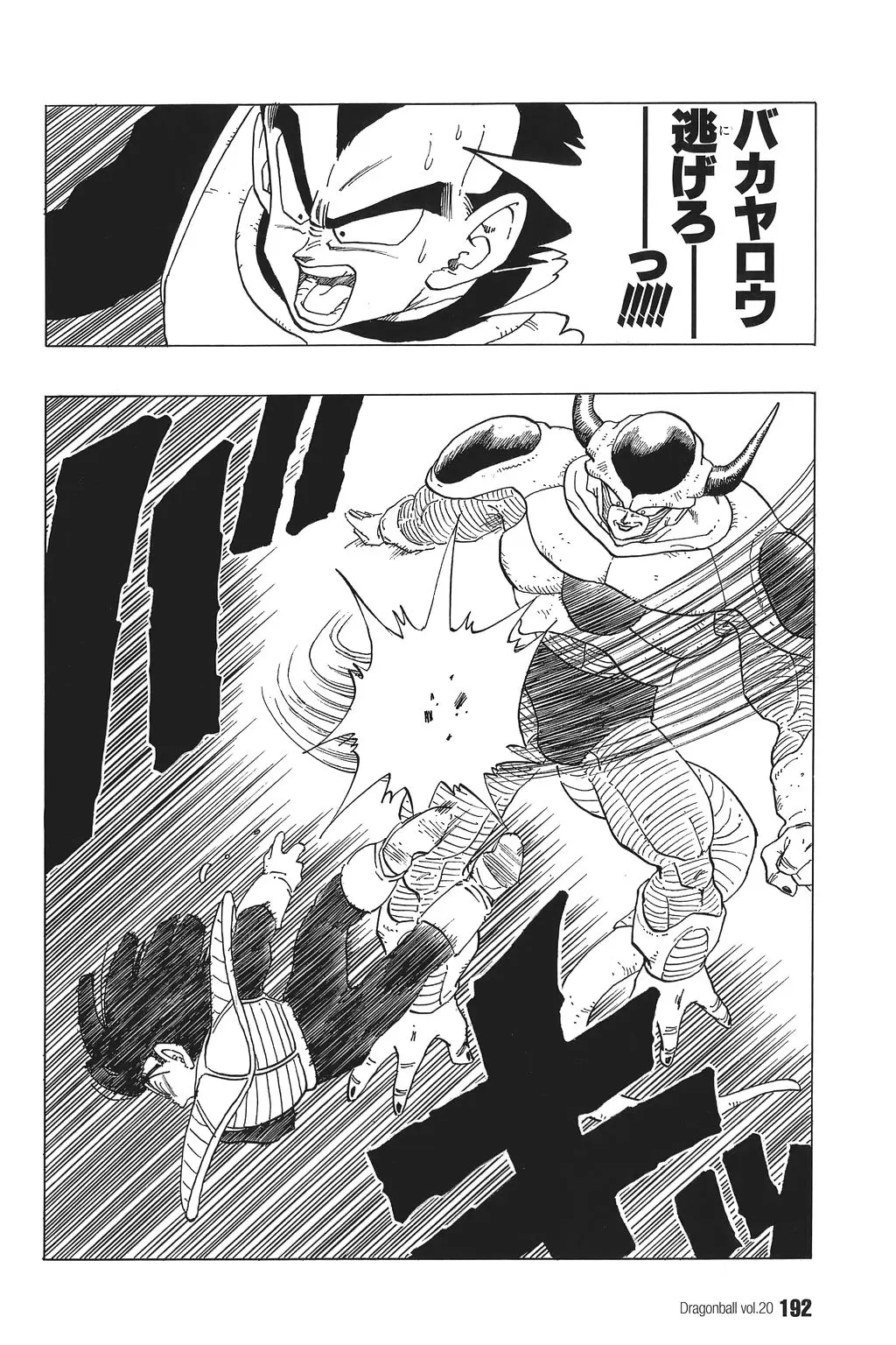 Chapitre 20 — Dragon Ball Kanzenban Vol. 20 — page 197