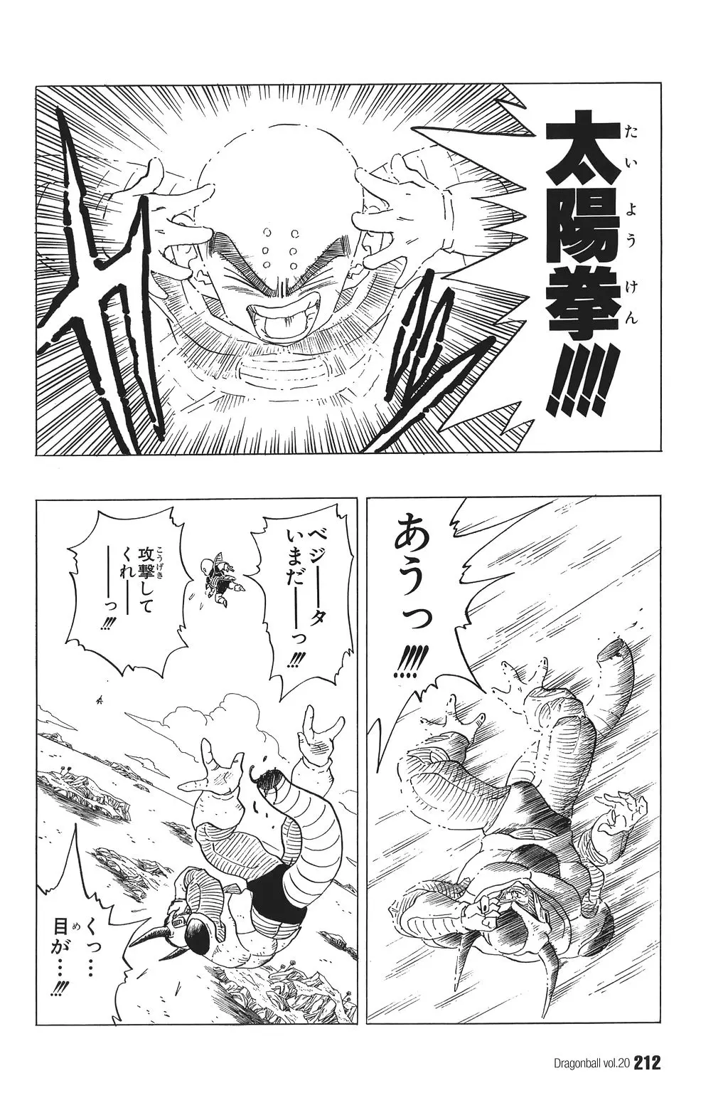 Chapitre 20 — Dragon Ball Kanzenban Vol. 20 — page 217