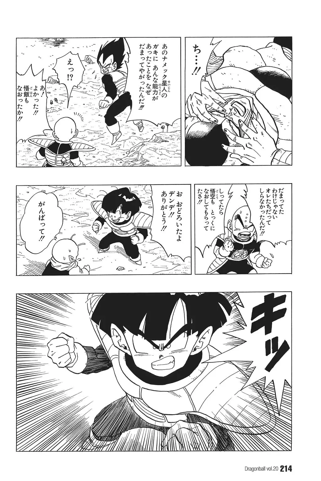 Chapitre 20 — Dragon Ball Kanzenban Vol. 20 — page 219
