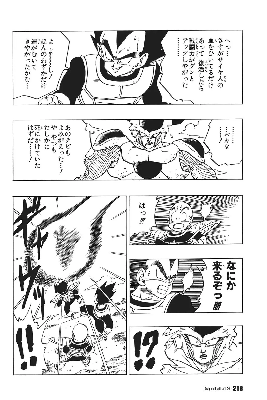 Chapitre 20 — Dragon Ball Kanzenban Vol. 20 — page 221