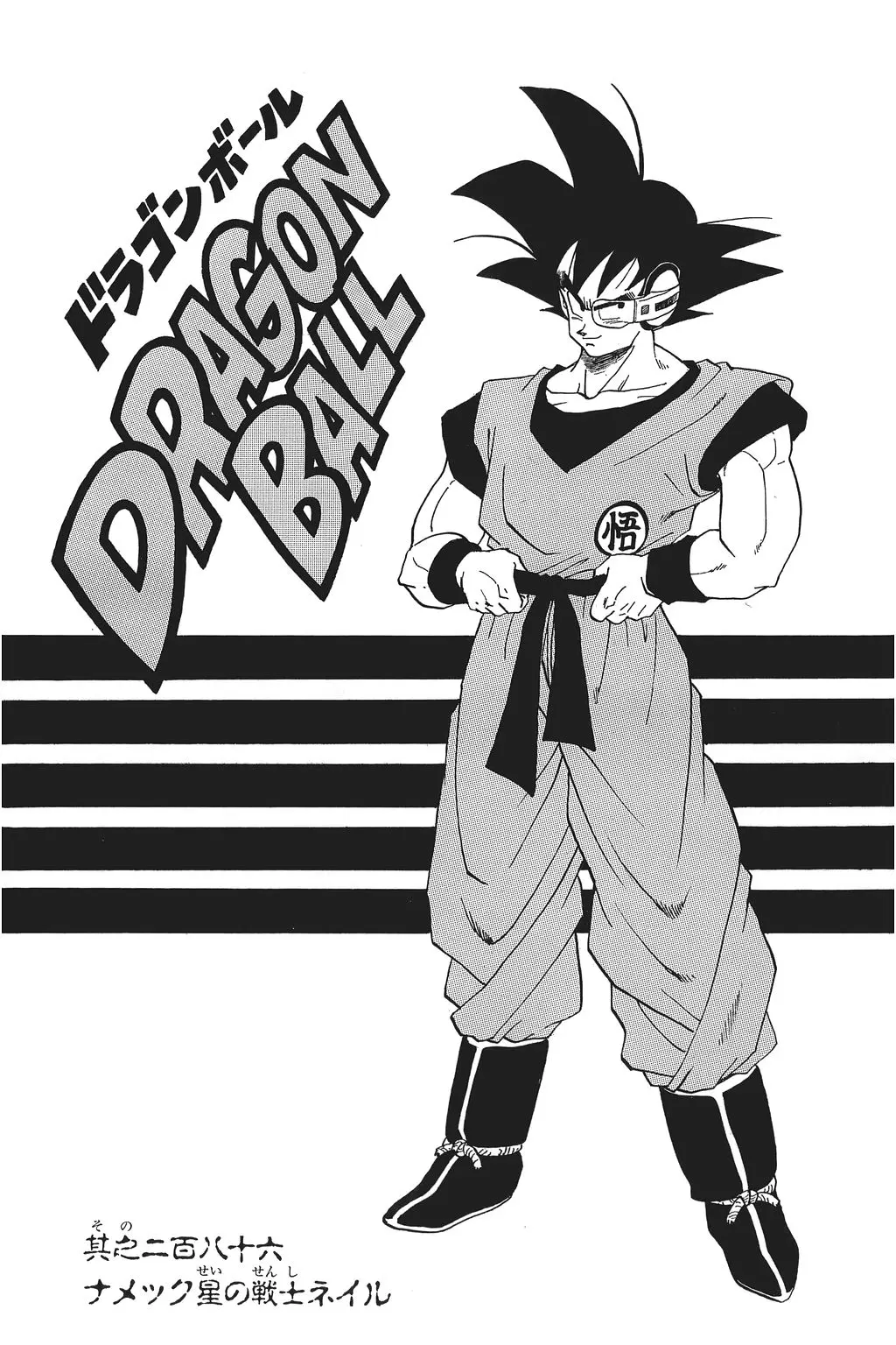 Chapitre 20 — Dragon Ball Kanzenban Vol. 20 — page 225