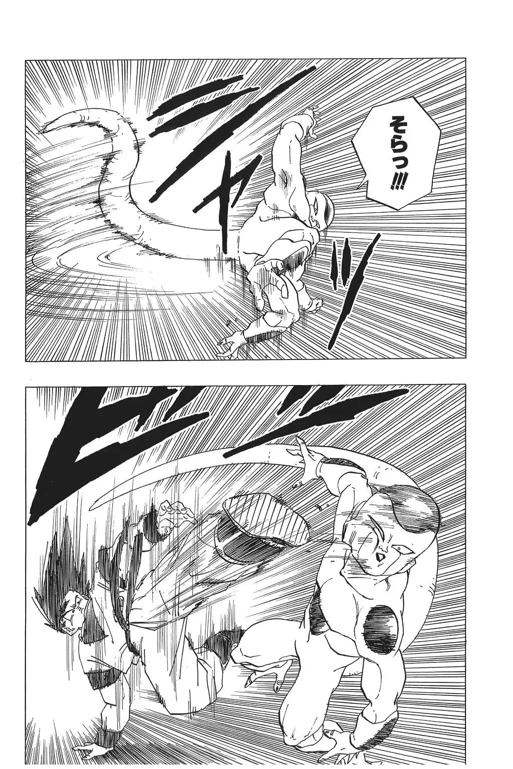 Chapitre 21 — Dragon Ball Kanzenban Vol. 21 — page 115