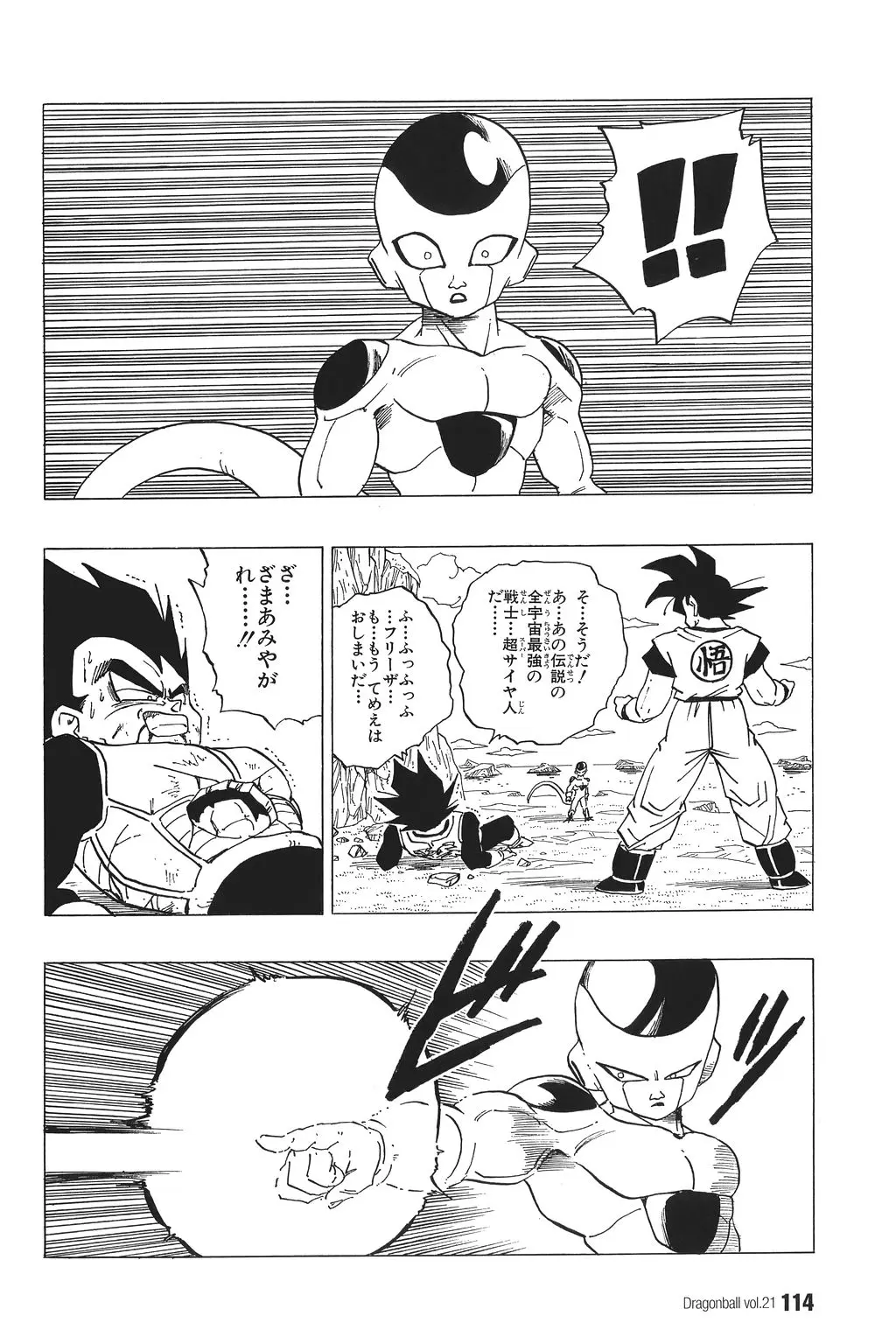 Chapitre 21 — Dragon Ball Kanzenban Vol. 21 — page 119