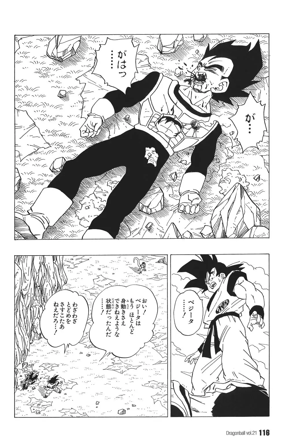Chapitre 21 — Dragon Ball Kanzenban Vol. 21 — page 121