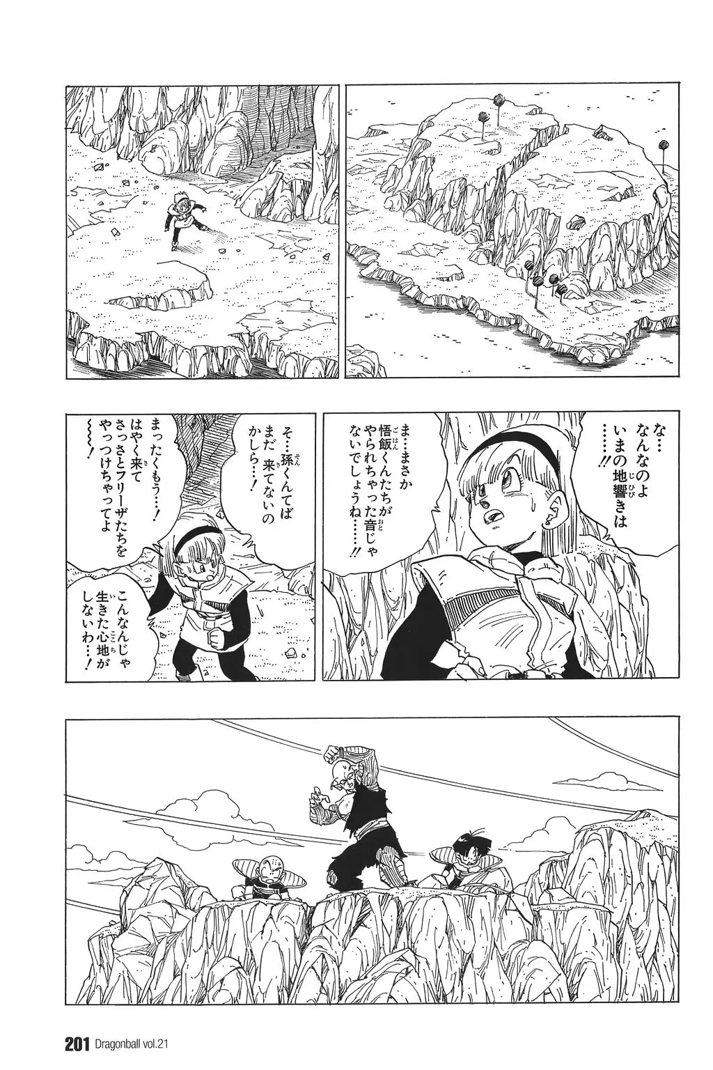 Chapitre 21 — Dragon Ball Kanzenban Vol. 21 — page 206