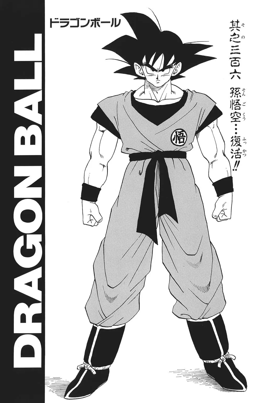 Chapitre 21 — Dragon Ball Kanzenban Vol. 21 — page 224